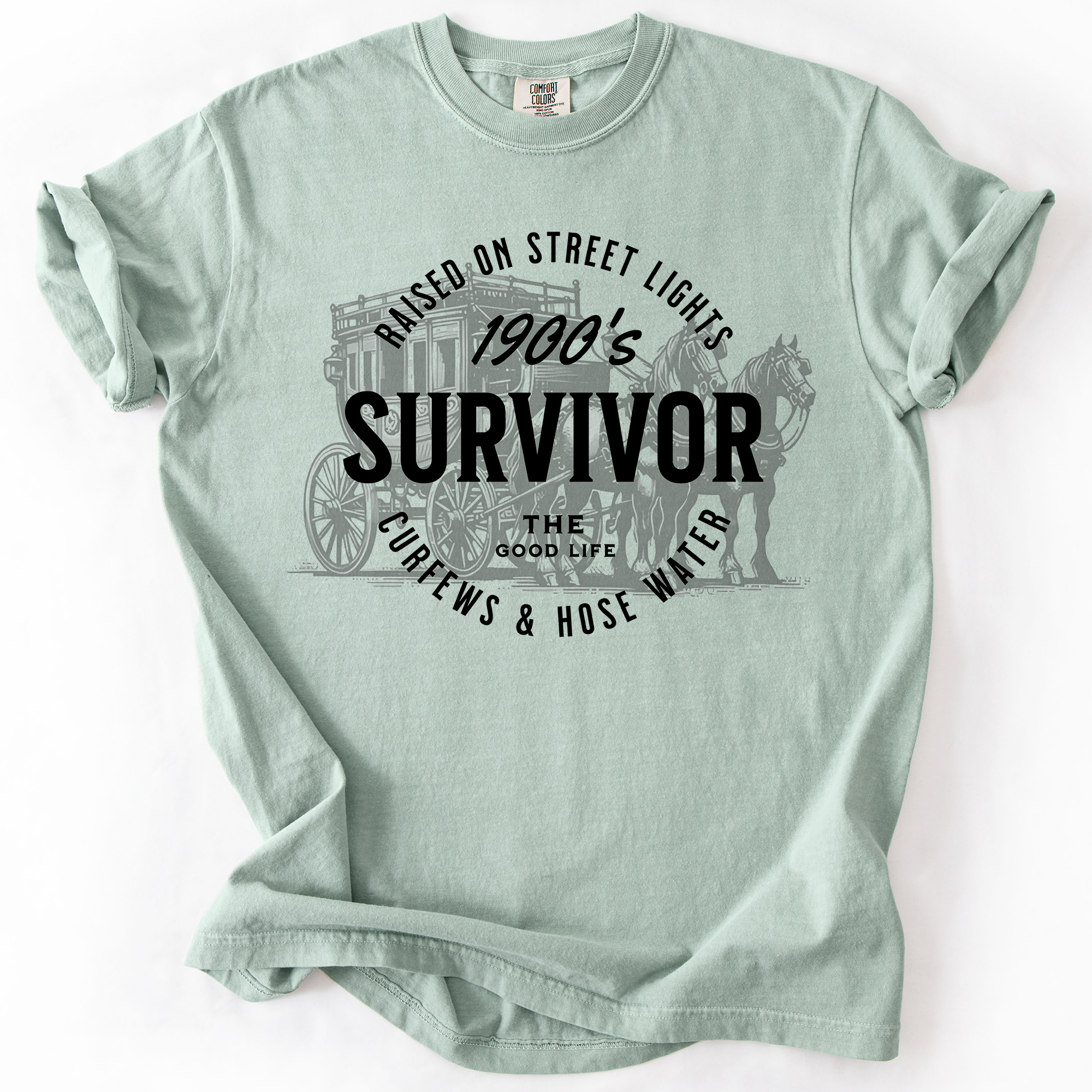 1900s Survivor, Funny Gen X Nostalgia Attitude, Sarcastic Retro Humor For Bold Collectors Comfort Colors Tee