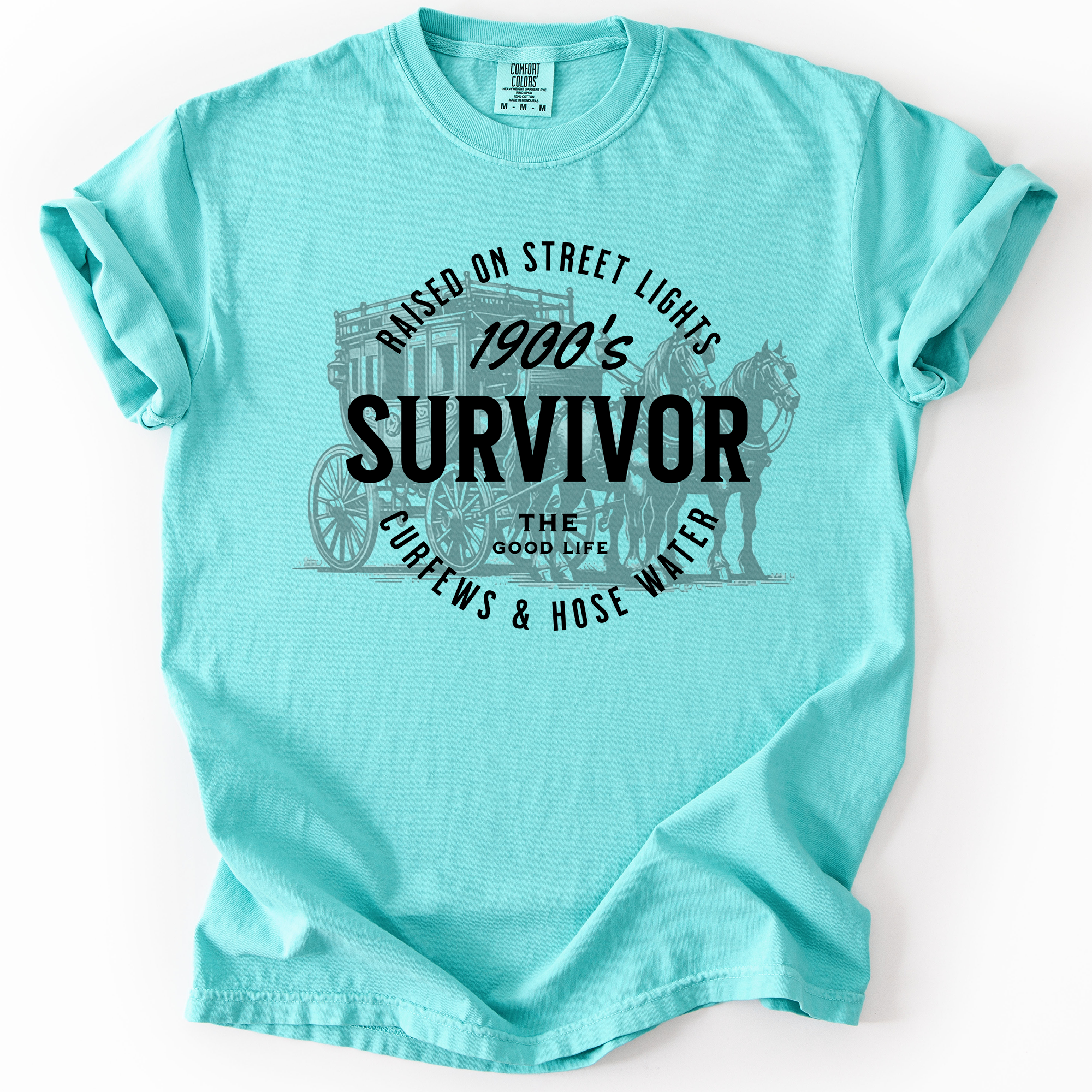 1900s Survivor, Funny Gen X Nostalgia Attitude, Sarcastic Retro Humor For Bold Collectors Comfort Colors Tee