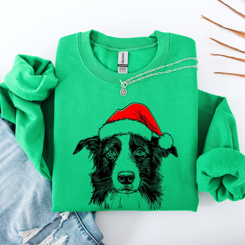 Border Collie Santa Christmas Dog Lover Pet Festive Cozy Warm Winter Premium Sweatshirt