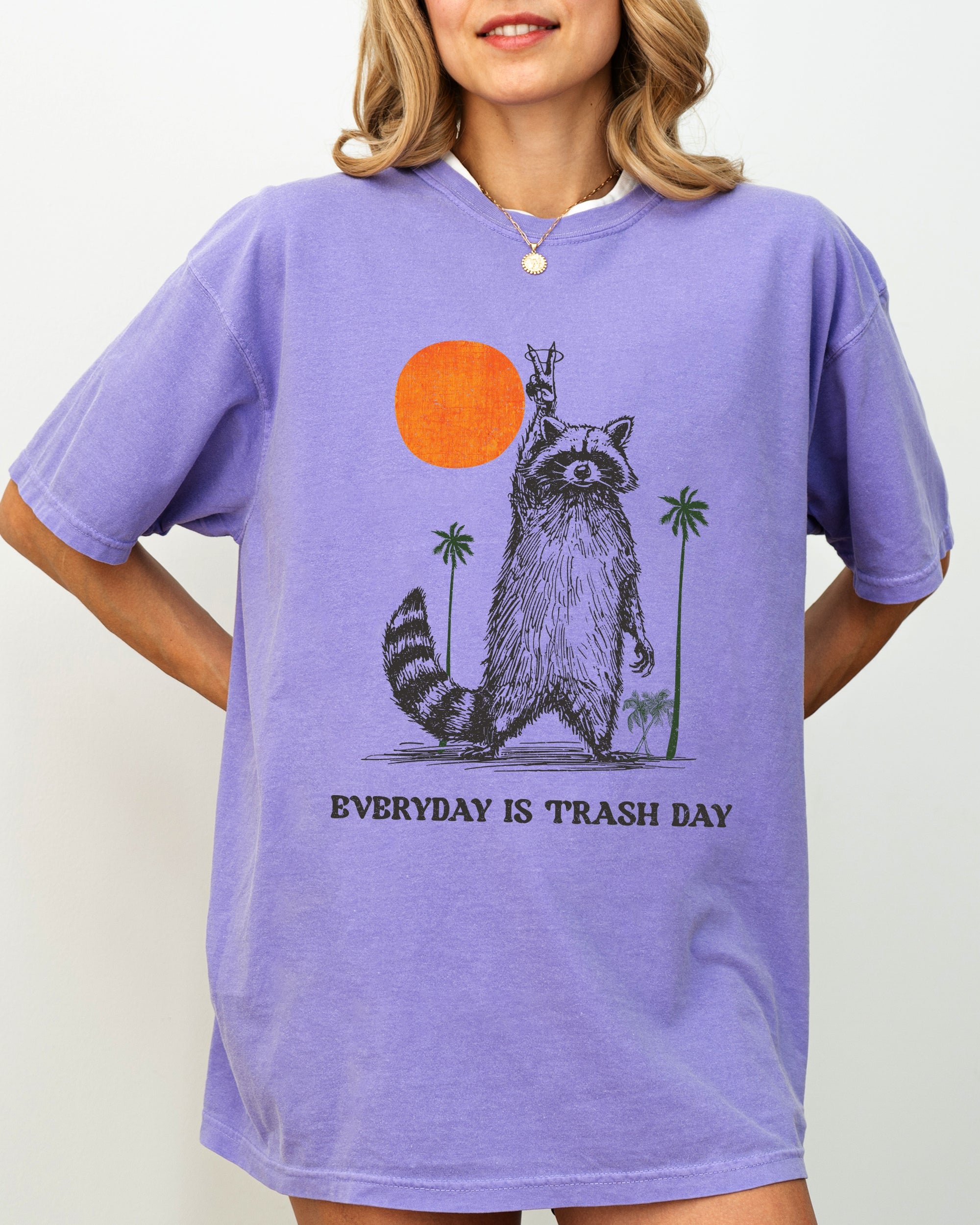 Everyday Is Trash Day Raccoon Meme Vintage Inspired Illustration Comfort Colors Tee