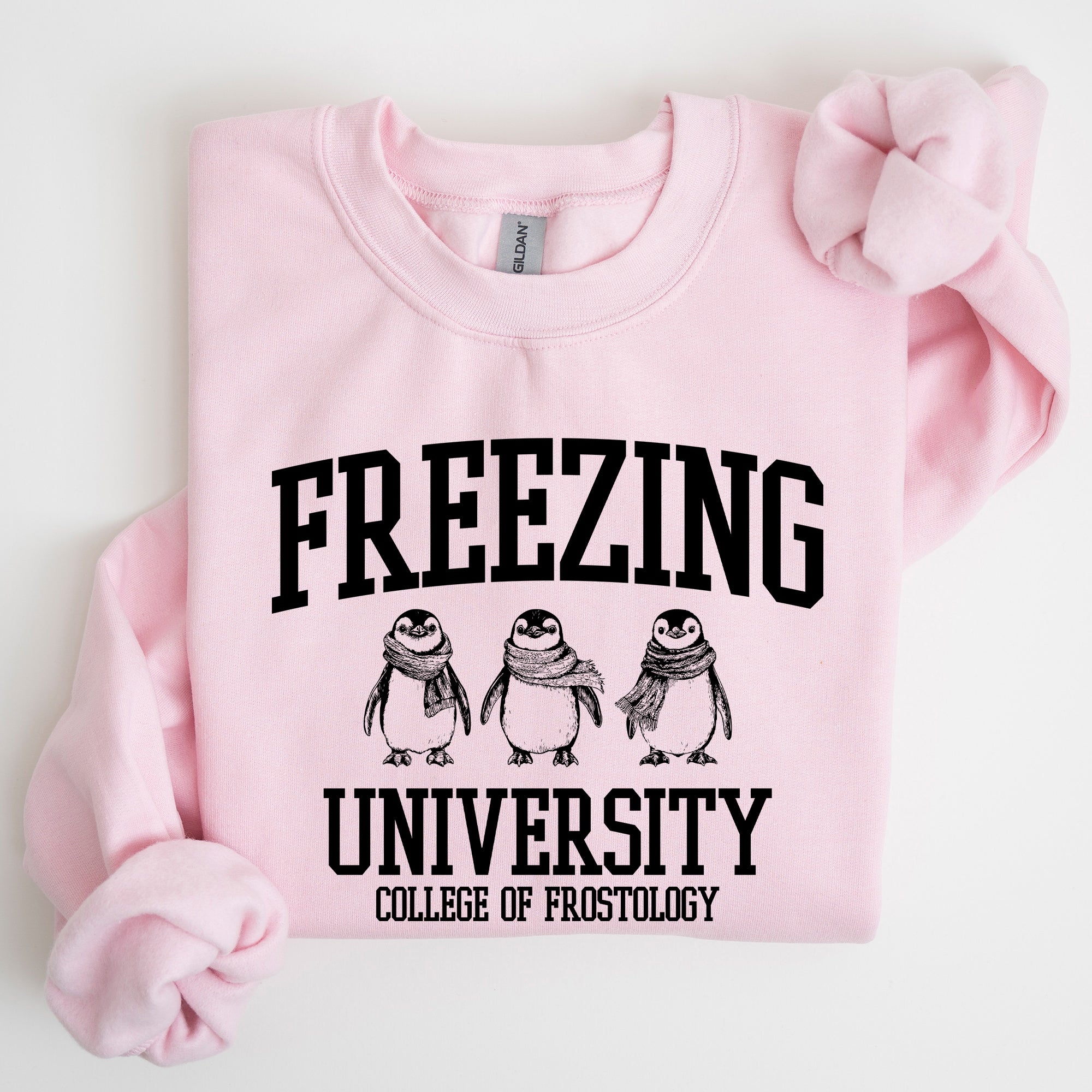 Freezing University Whimsical Penguins Winter Cozy Snowy Landscape For Cold Day Sweatshirt