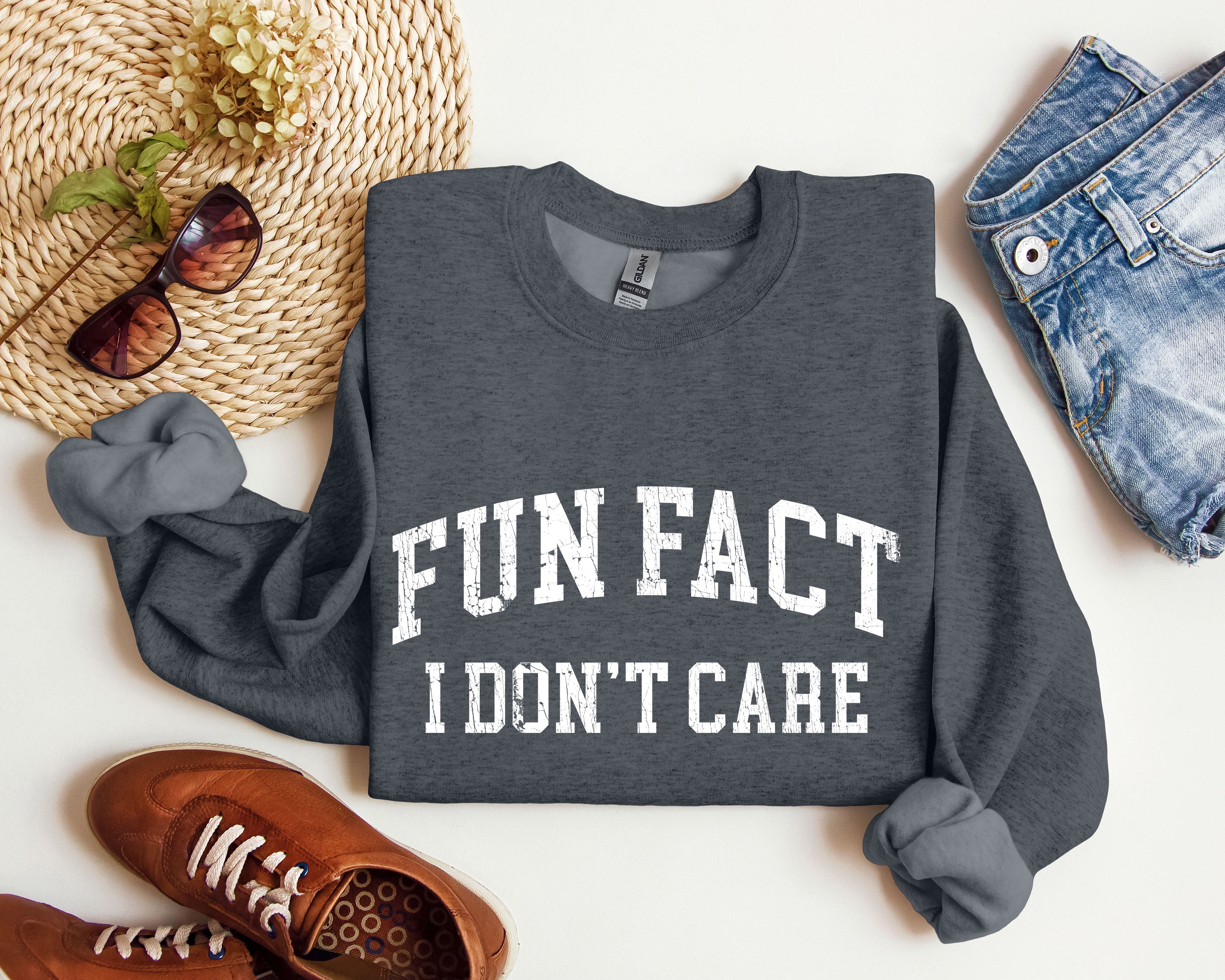 Fun Fact I Don't Care Sarcastic Campus Humor Quote For Late Night Study Sessions Sweatshirt