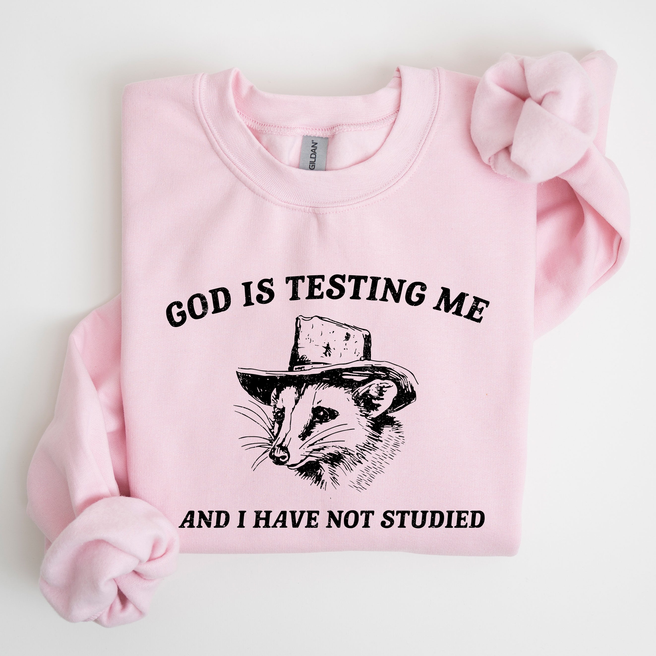 God Is Testing Me And I Have Not Studied Opossum Possum Meme Classic Edition Sweatshirt