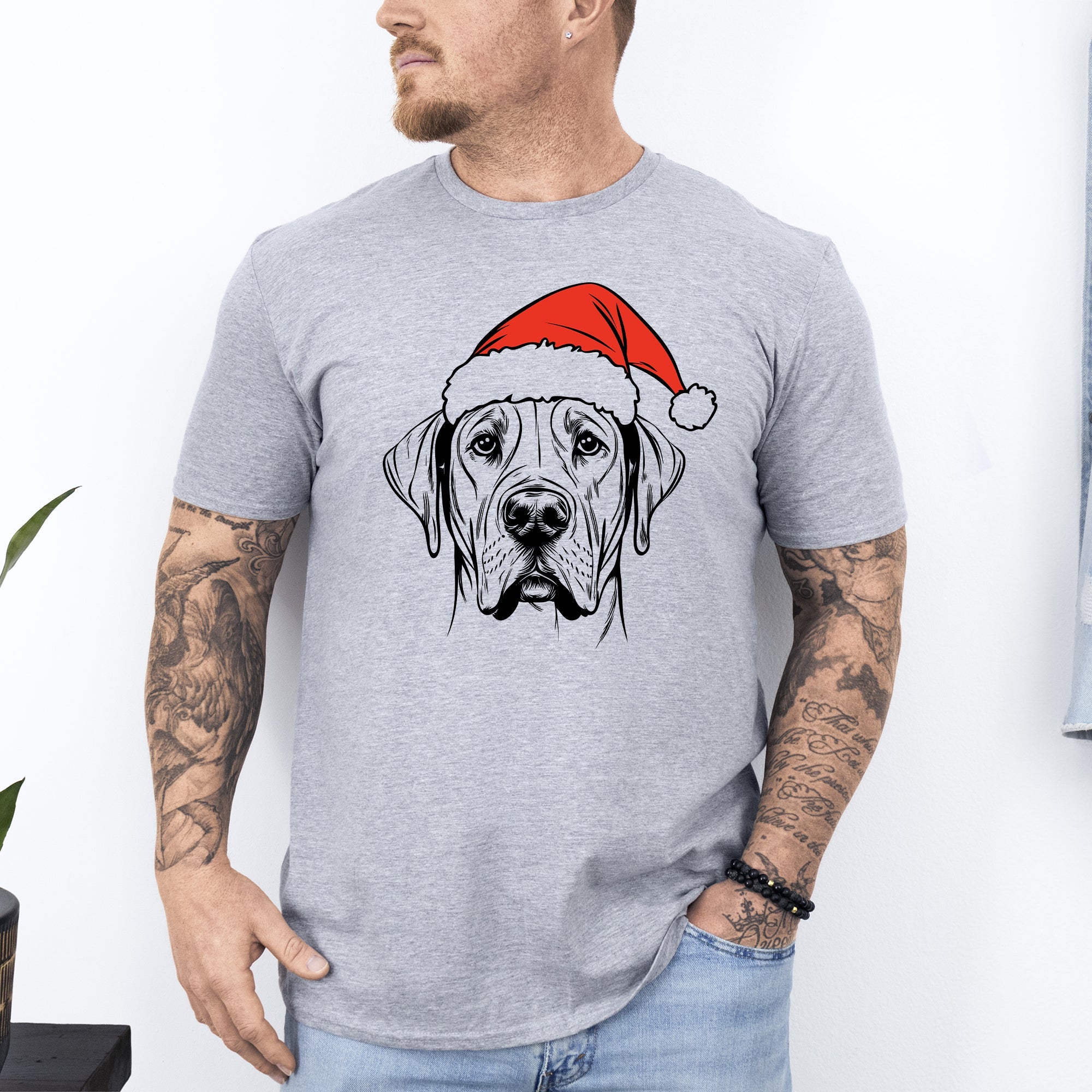 Great Dane Santa Christmas Dog Lover Festive Edition Limited Vintage Comfort Colors Tee