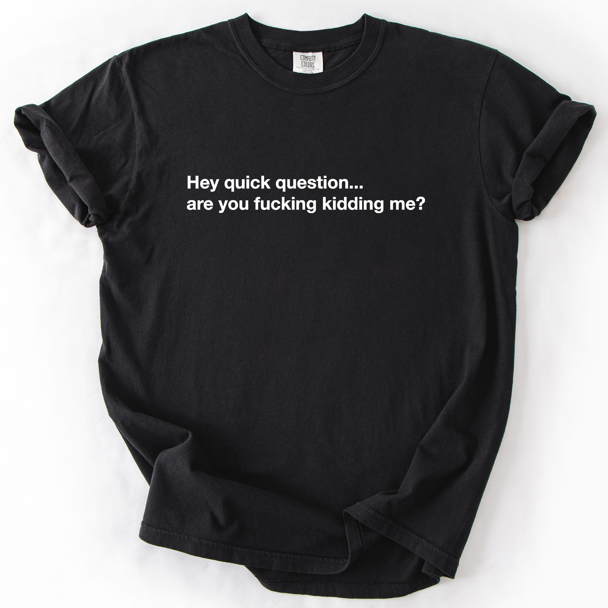 Hey Quick Question, Are You Kidding Me, Vulgar, Sassy, Sarcastic, Minimalist, Funny Comfort Colors Tee