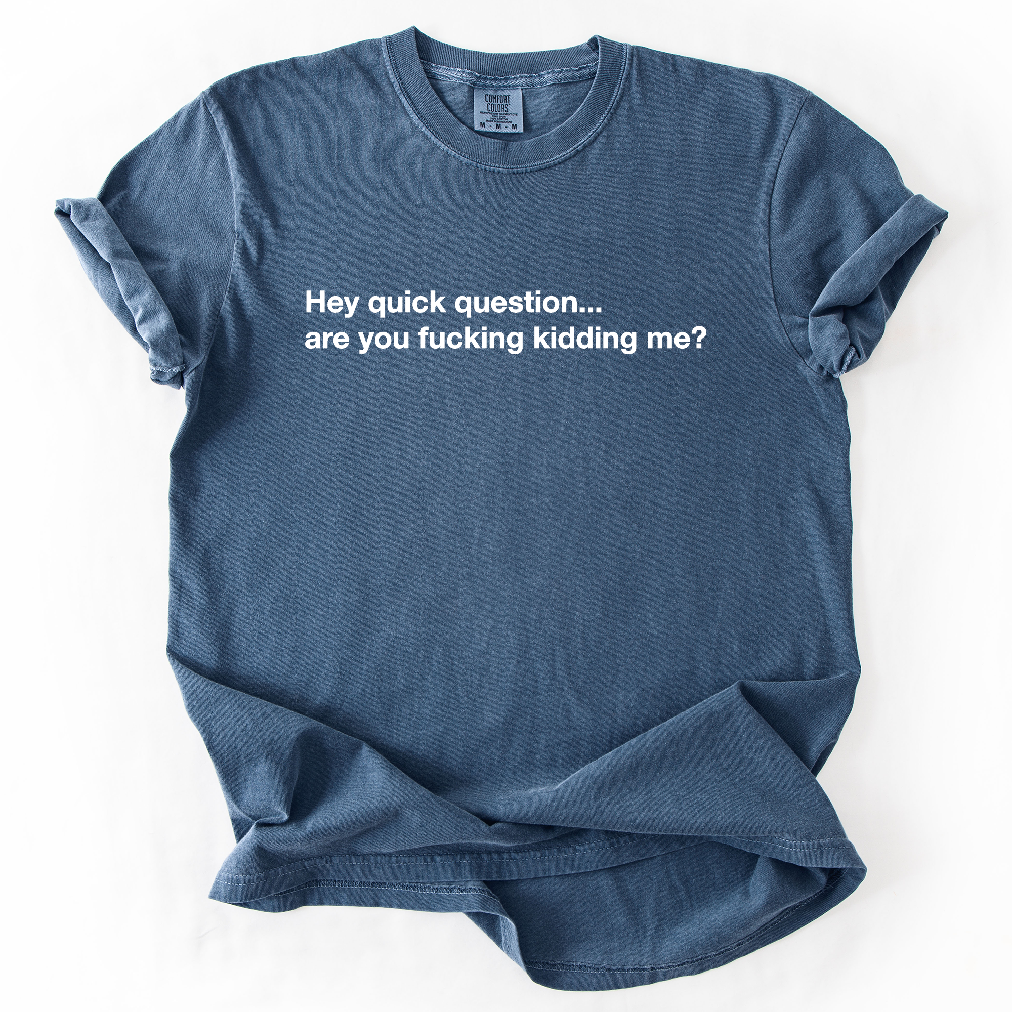 Hey Quick Question, Are You Kidding Me, Vulgar, Sassy, Sarcastic, Minimalist, Funny Comfort Colors Tee