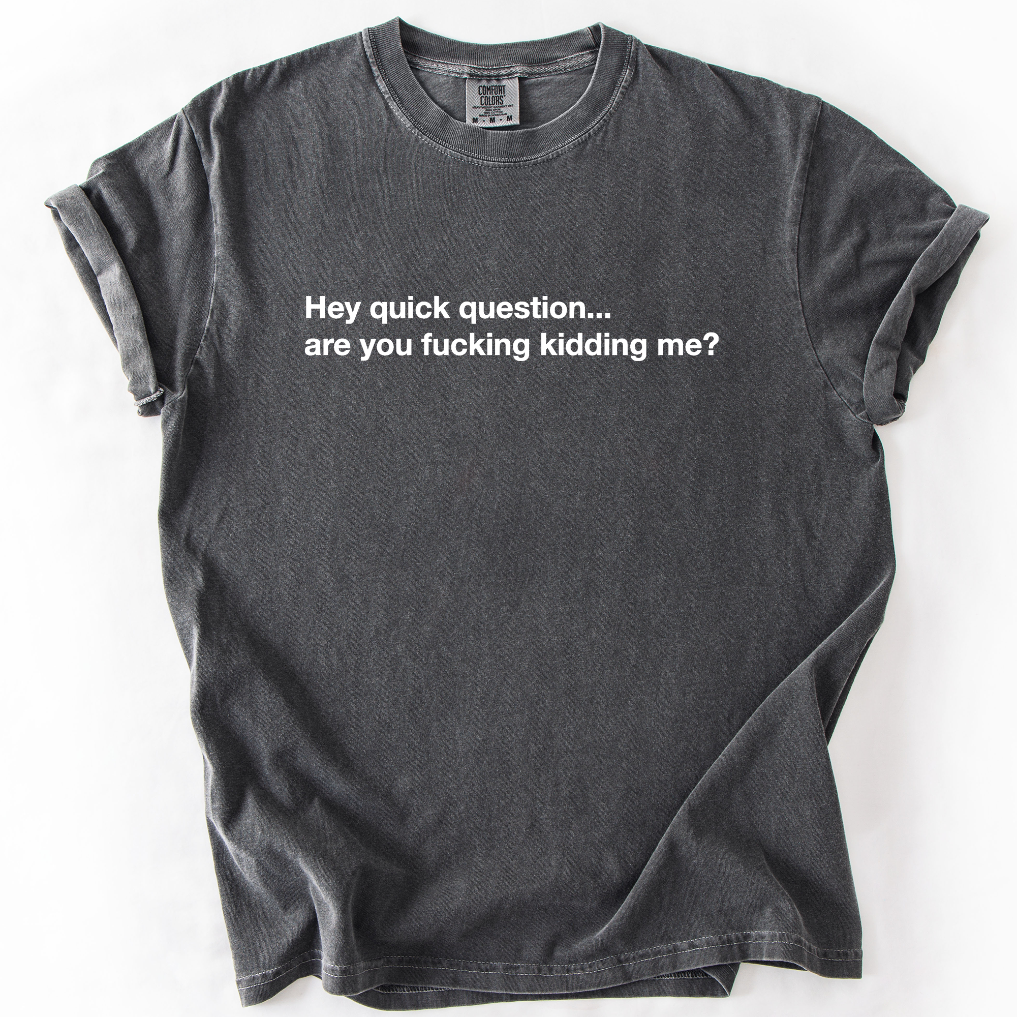 Hey Quick Question, Are You Kidding Me, Vulgar, Sassy, Sarcastic, Minimalist, Funny Comfort Colors Tee