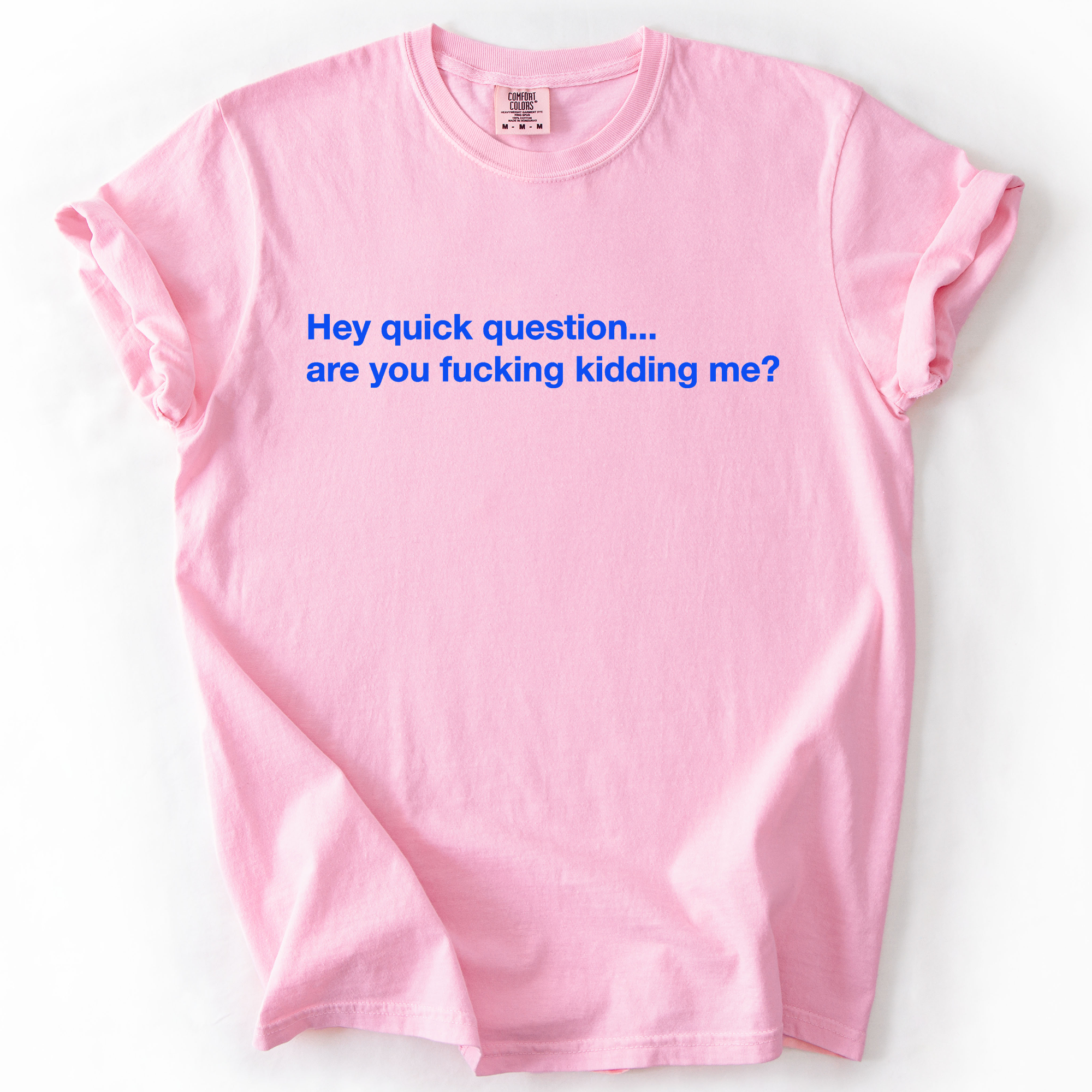 Hey Quick Question, Are You Kidding Me, Vulgar, Sassy, Sarcastic, Minimalist, Funny Comfort Colors Tee