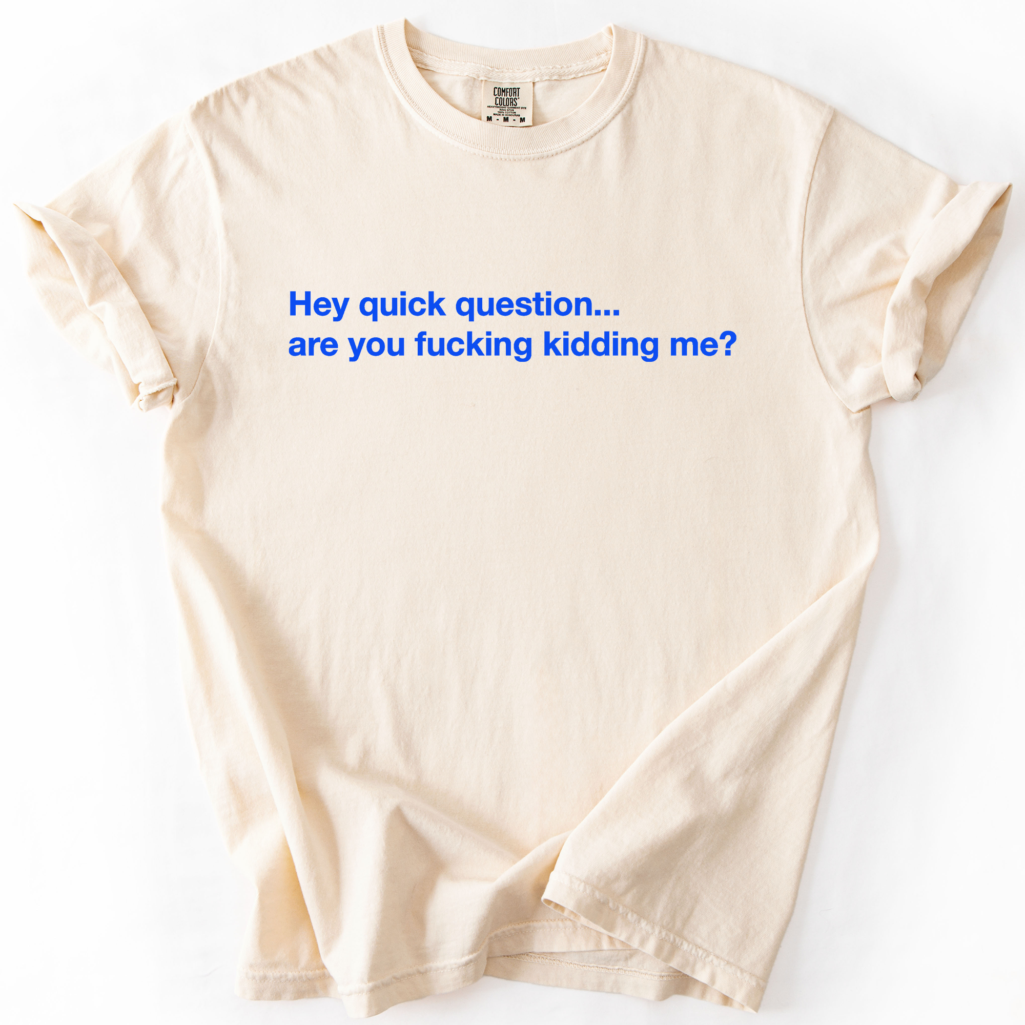 Hey Quick Question, Are You Kidding Me, Vulgar, Sassy, Sarcastic, Minimalist, Funny Comfort Colors Tee