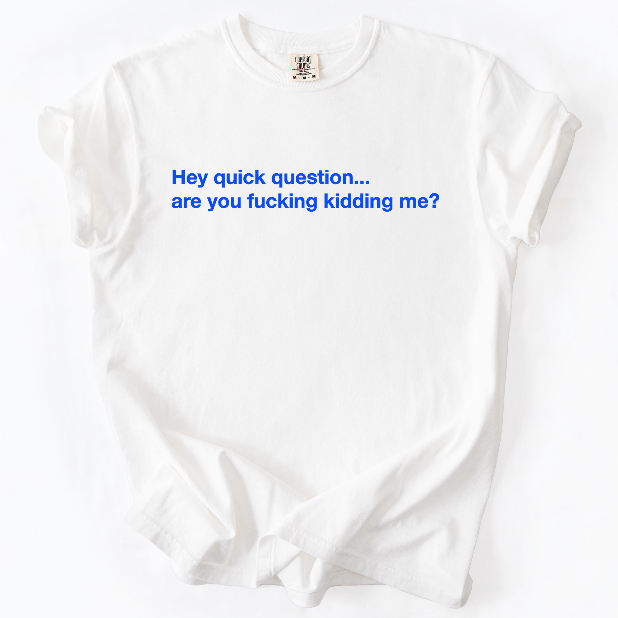 Hey Quick Question, Are You Kidding Me, Vulgar, Sassy, Sarcastic, Minimalist, Funny Comfort Colors Tee