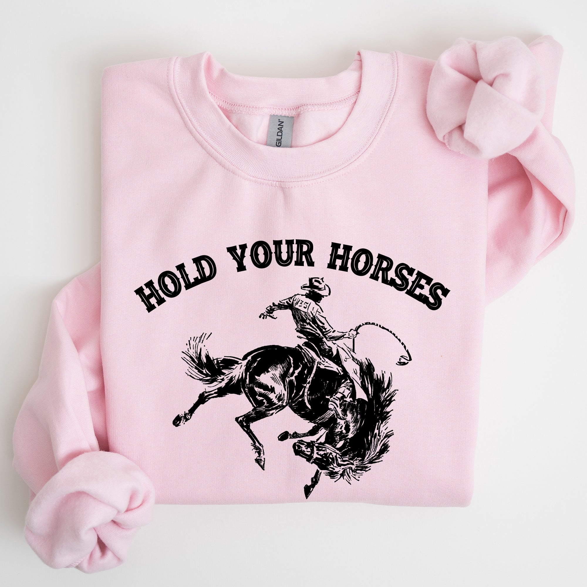 Hold Your Horses Rodeo Cowboy Western Rodeo Theme Vintage Graphic Cozy Sweatshirt