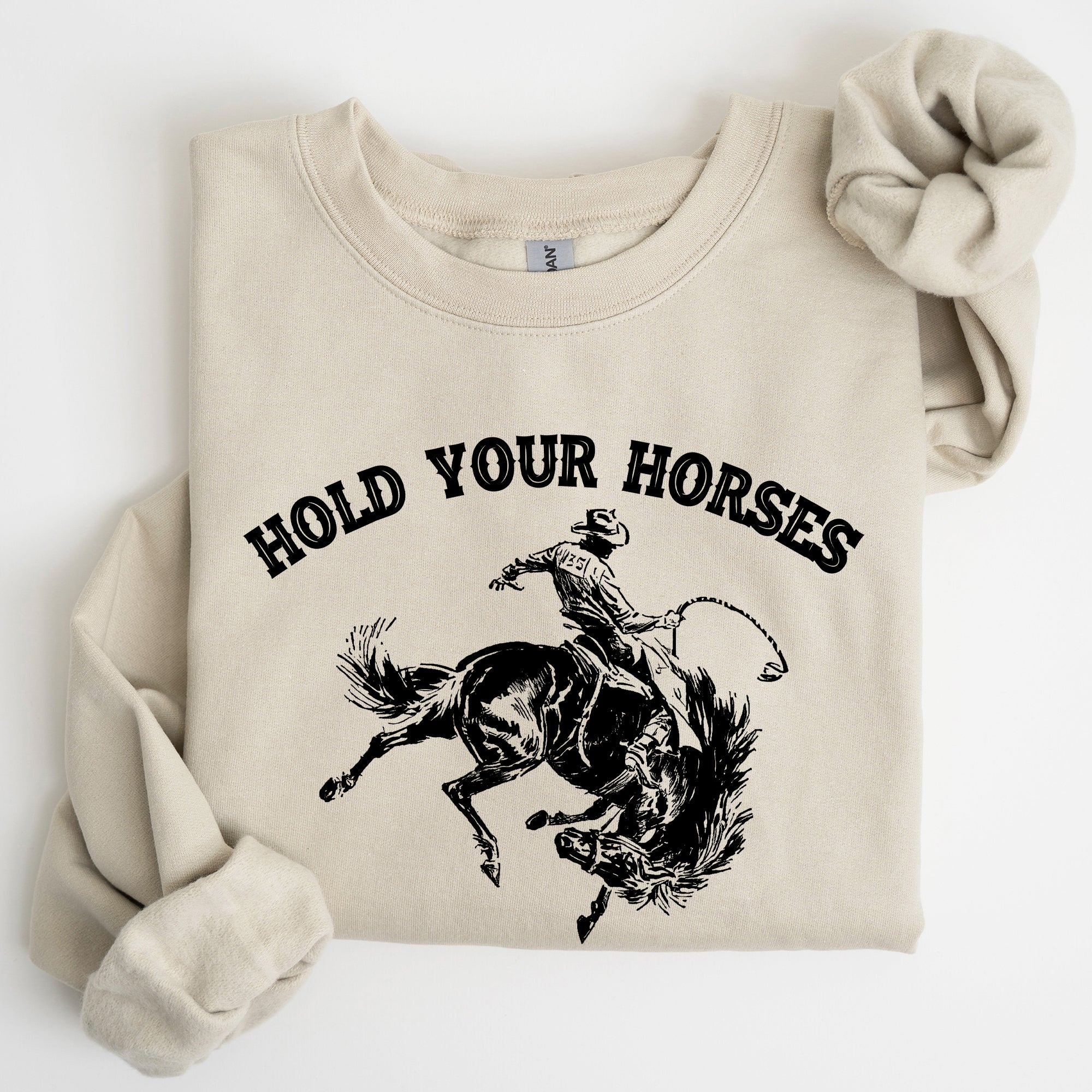 Hold Your Horses Rodeo Cowboy Western Rodeo Theme Vintage Graphic Cozy Sweatshirt