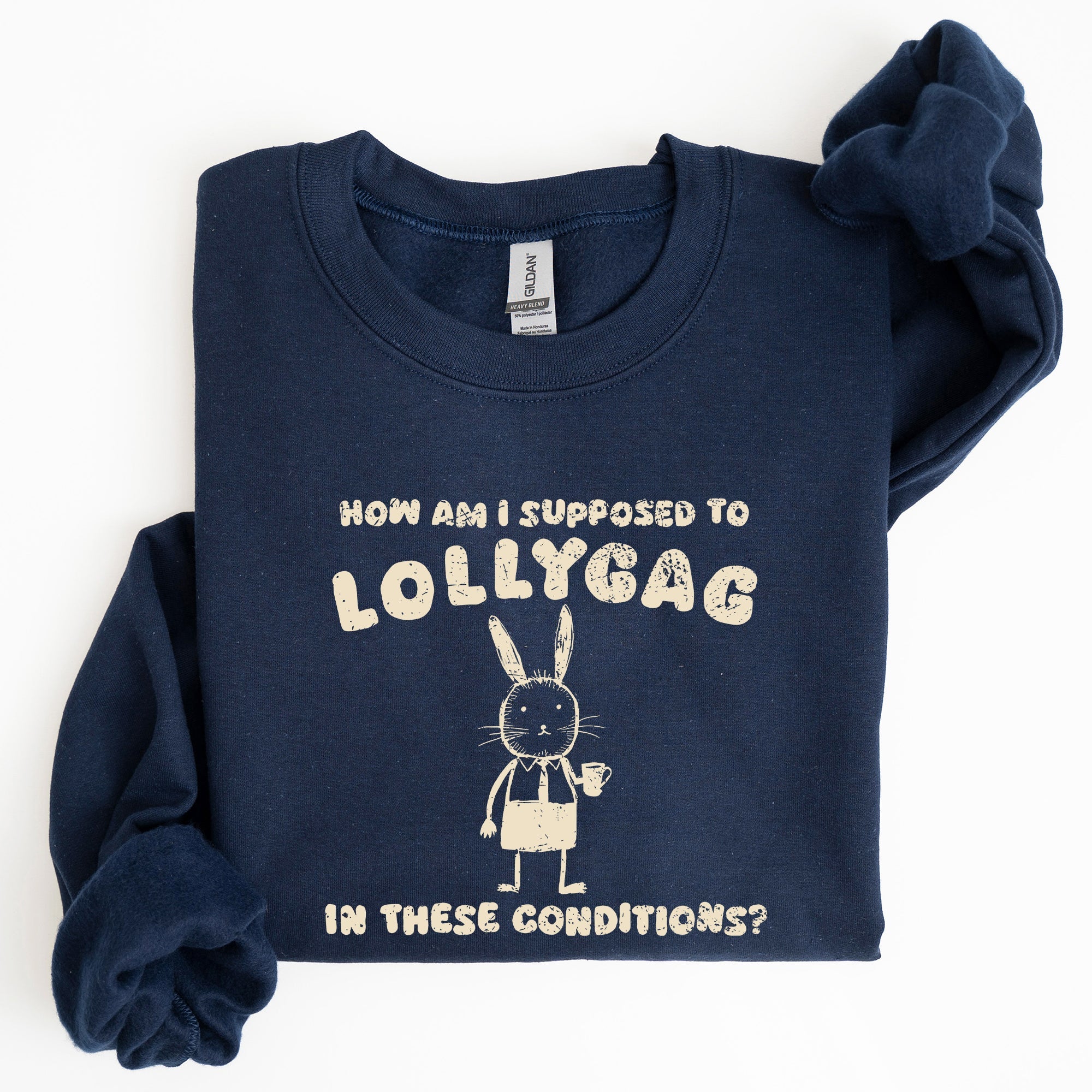How Am I Supposed To Lollygag Rabbit Bunny Meme Illustration For All Memes Sweatshirt