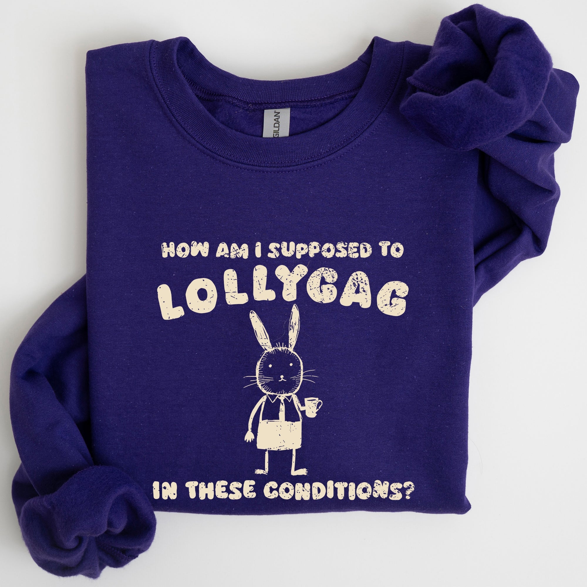 How Am I Supposed To Lollygag Rabbit Bunny Meme Illustration For All Memes Sweatshirt