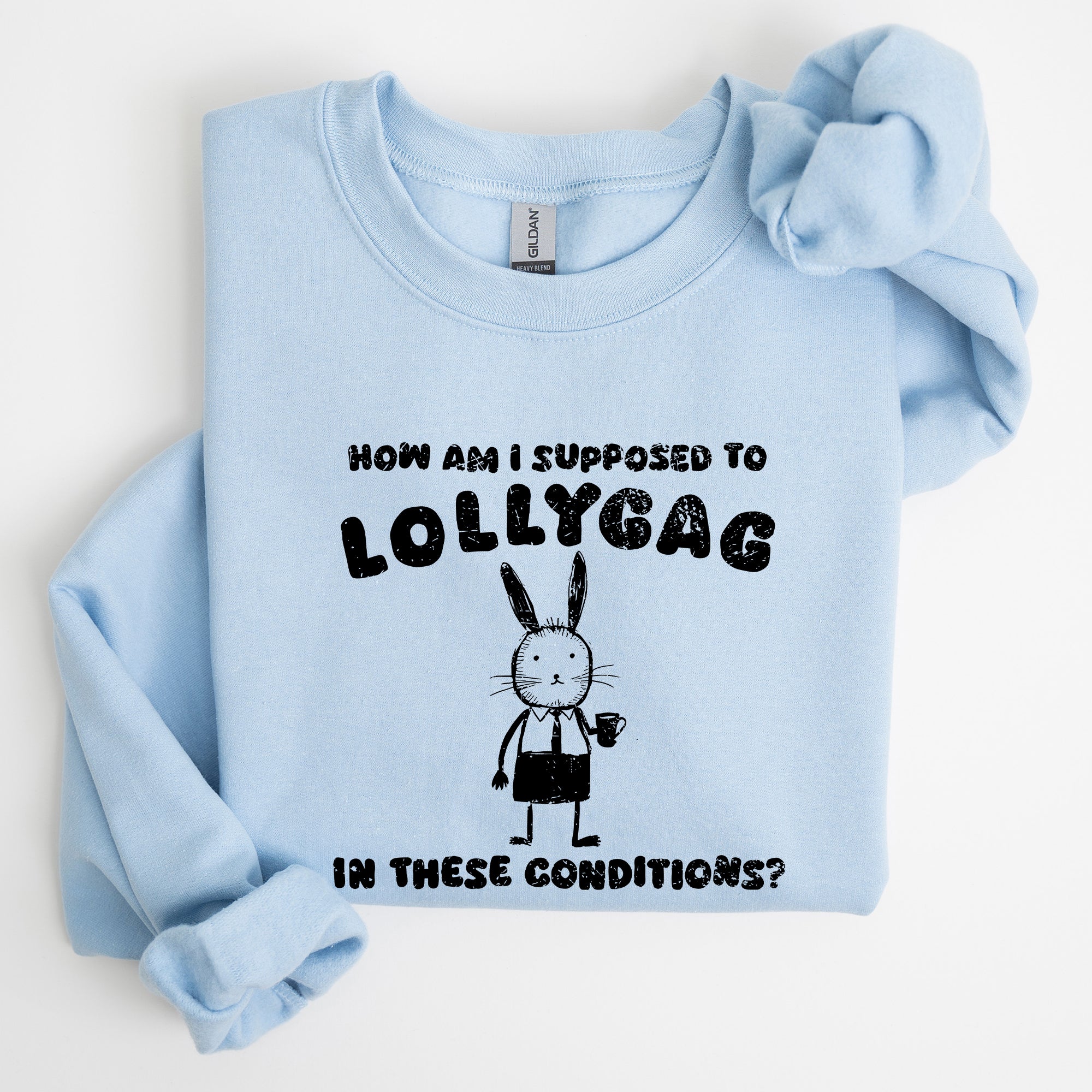 How Am I Supposed To Lollygag Rabbit Bunny Meme Illustration For All Memes Sweatshirt