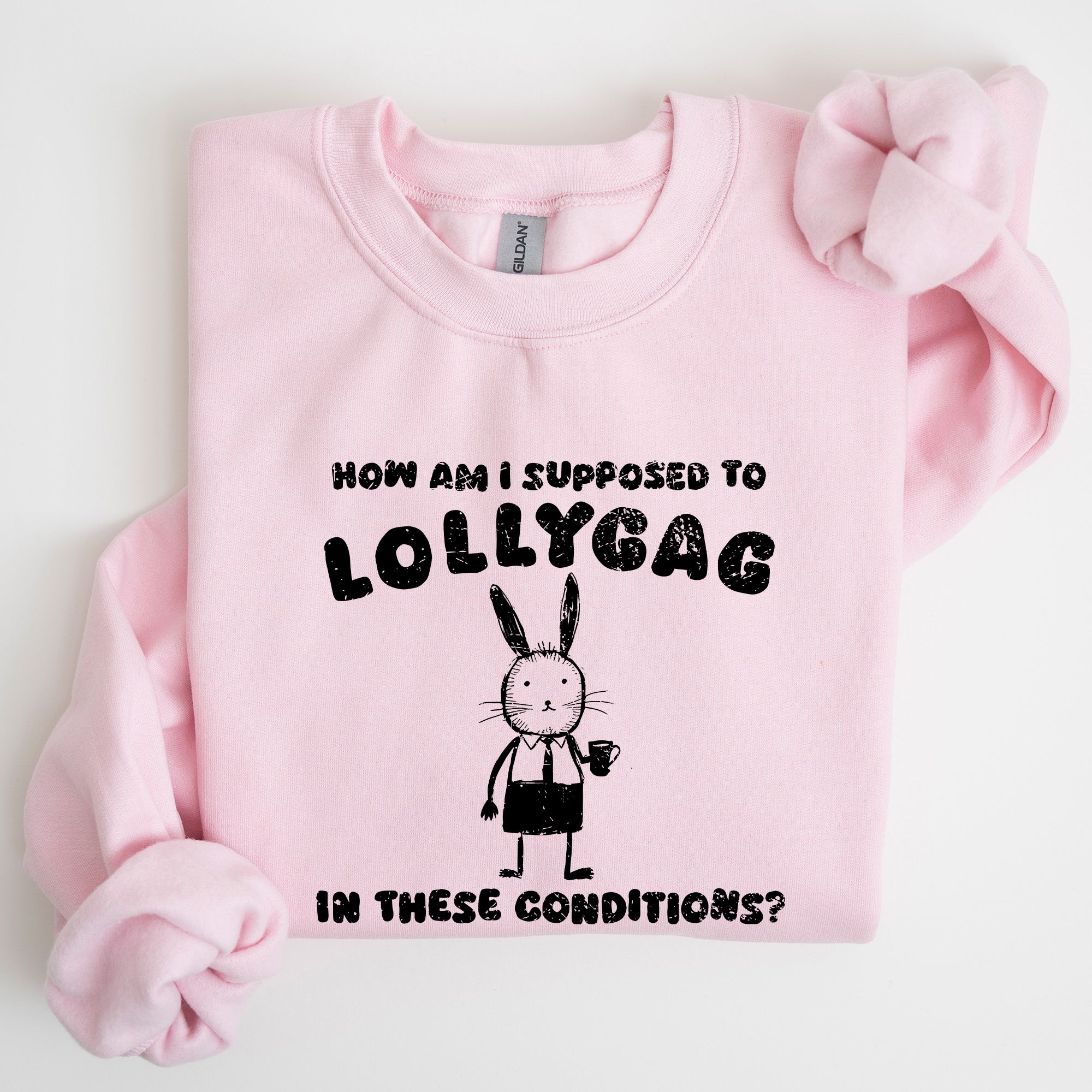 How Am I Supposed To Lollygag Rabbit Bunny Meme Illustration For All Memes Sweatshirt