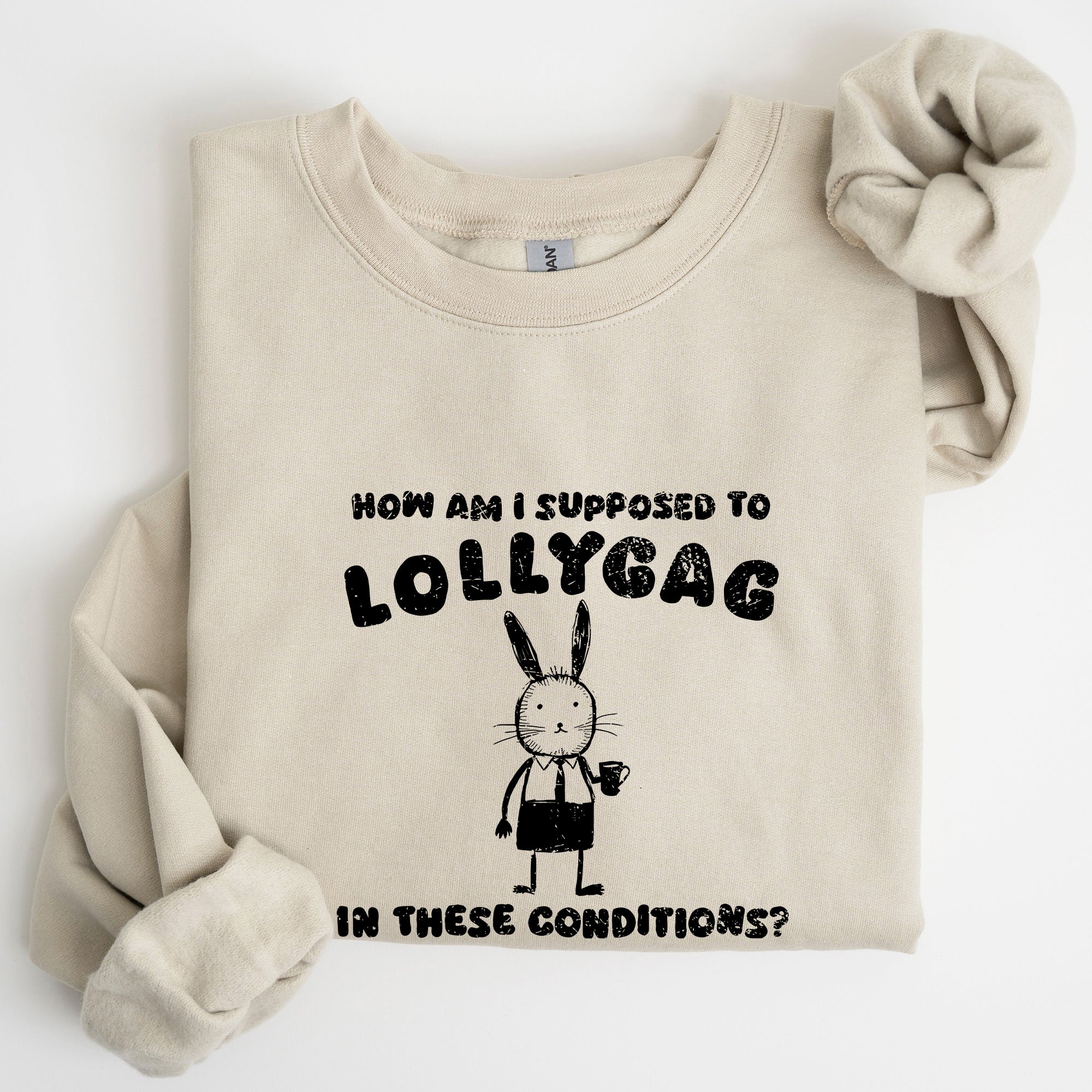 How Am I Supposed To Lollygag Rabbit Bunny Meme Illustration For All Memes Sweatshirt