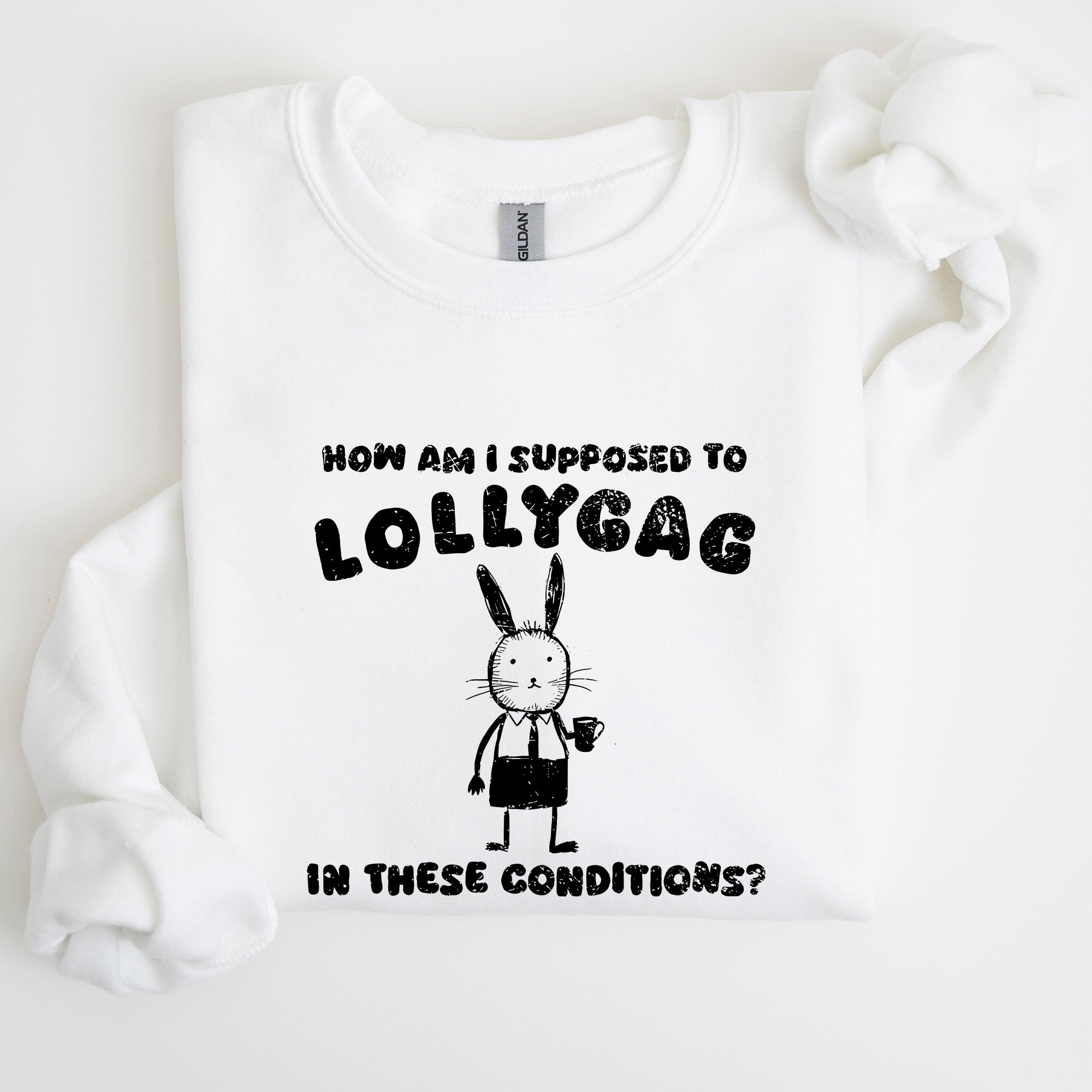 How Am I Supposed To Lollygag Rabbit Bunny Meme Illustration For All Memes Sweatshirt