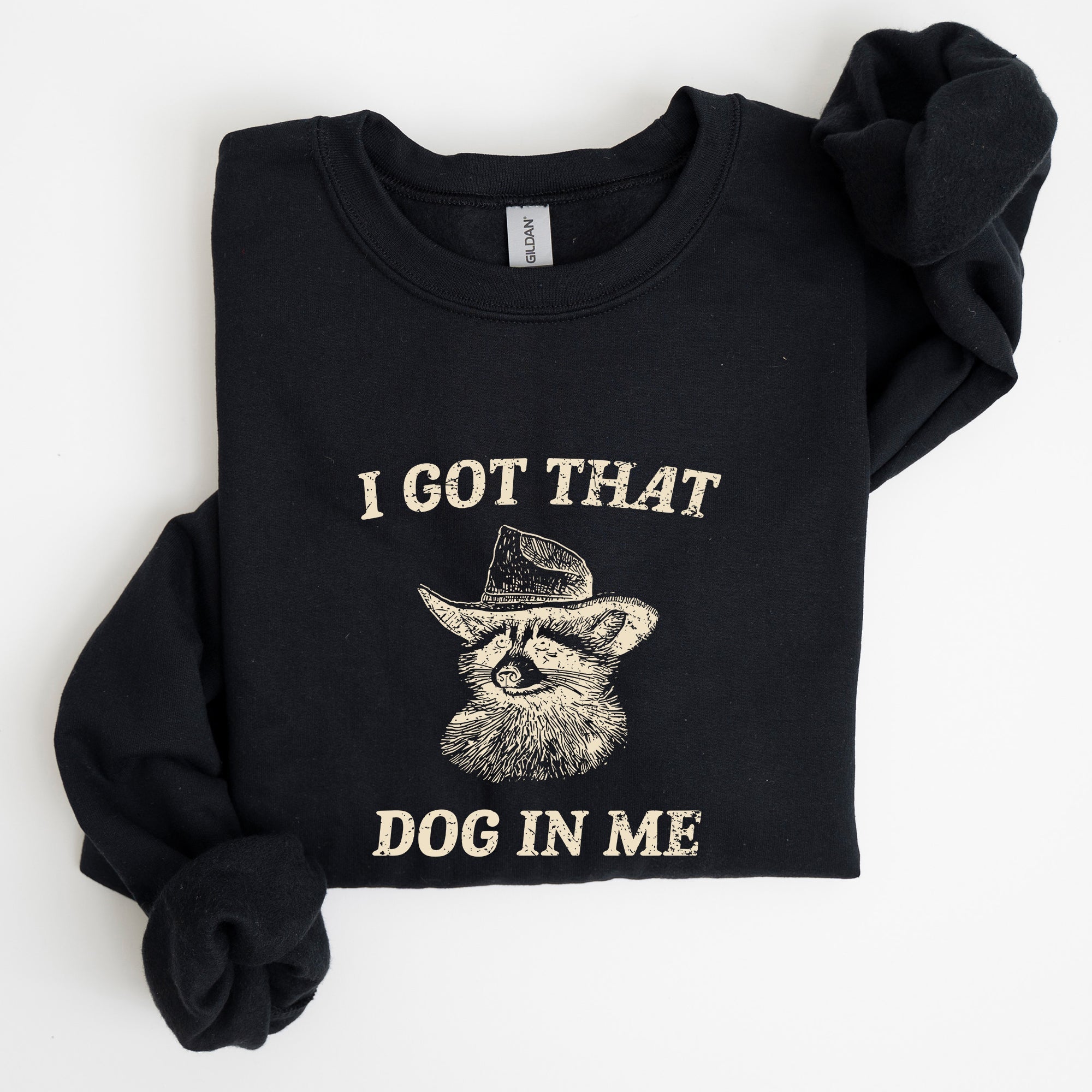 I Got That Dog In Me Raccoon Meme Laughing At The Internet Everyday Today Sweatshirt