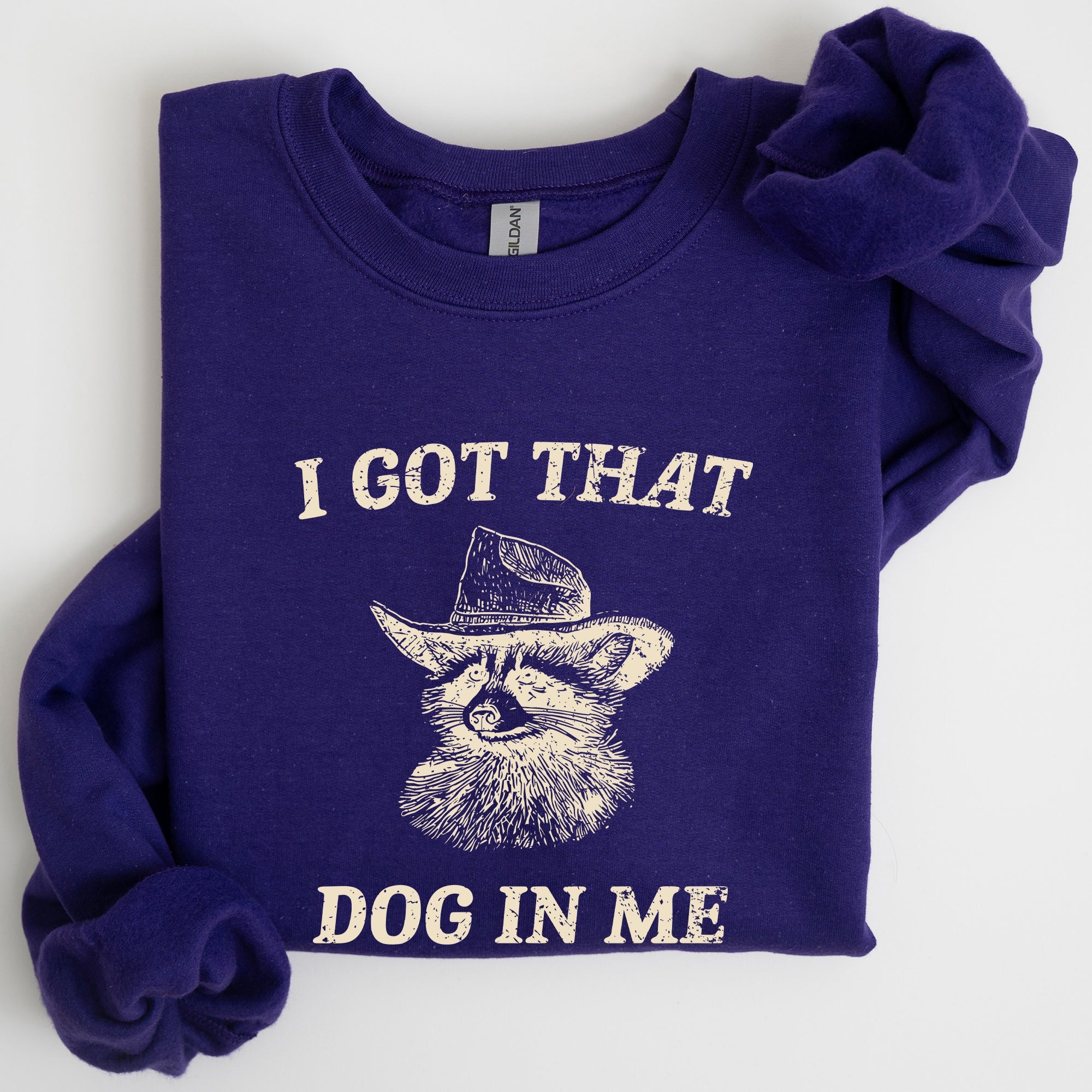 I Got That Dog In Me Raccoon Meme Laughing At The Internet Everyday Today Sweatshirt