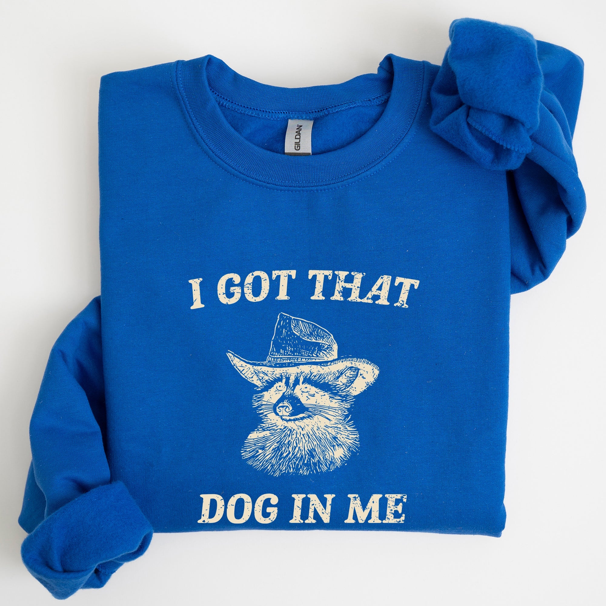 I Got That Dog In Me Raccoon Meme Laughing At The Internet Everyday Today Sweatshirt