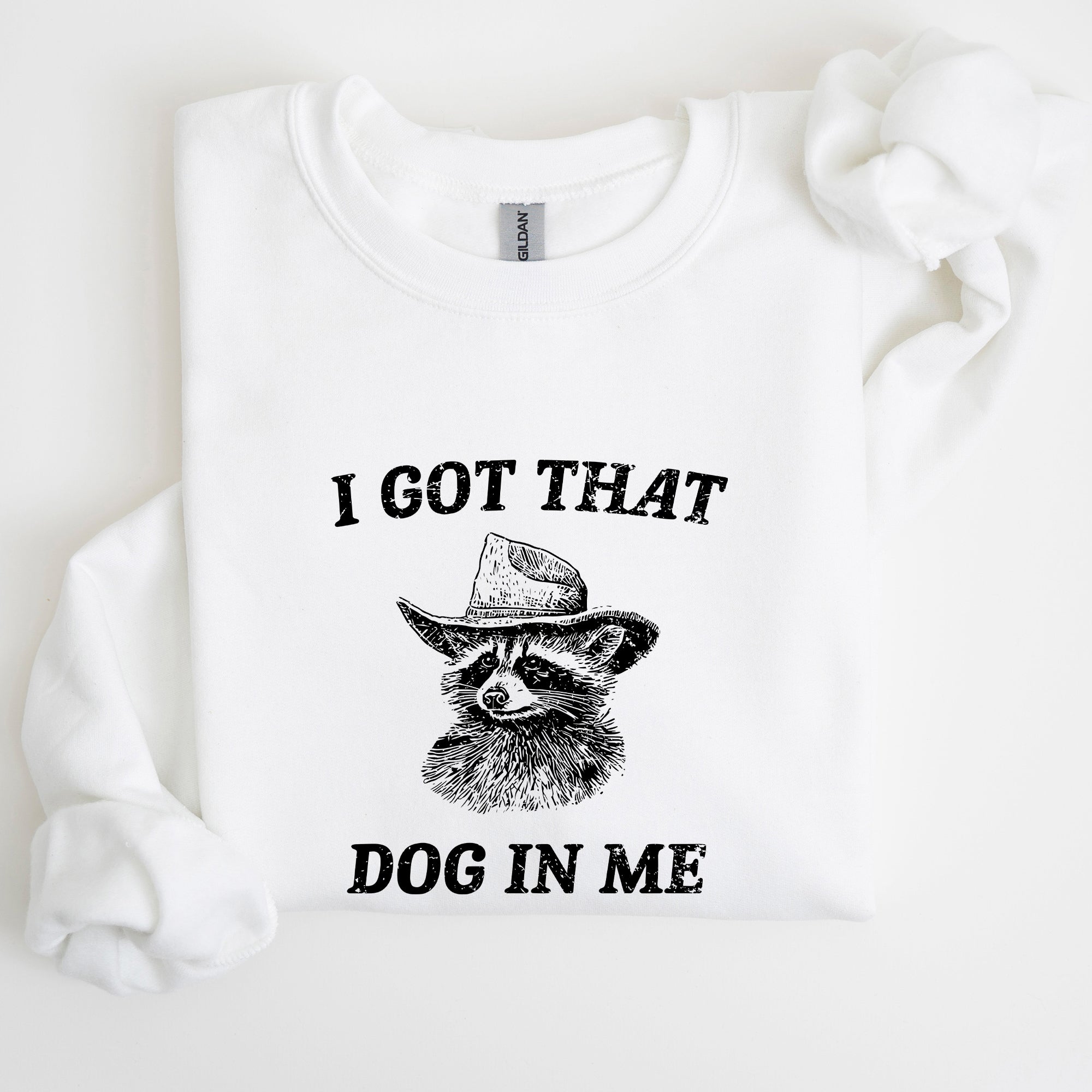 I Got That Dog In Me Raccoon Meme Laughing At The Internet Everyday Today Sweatshirt