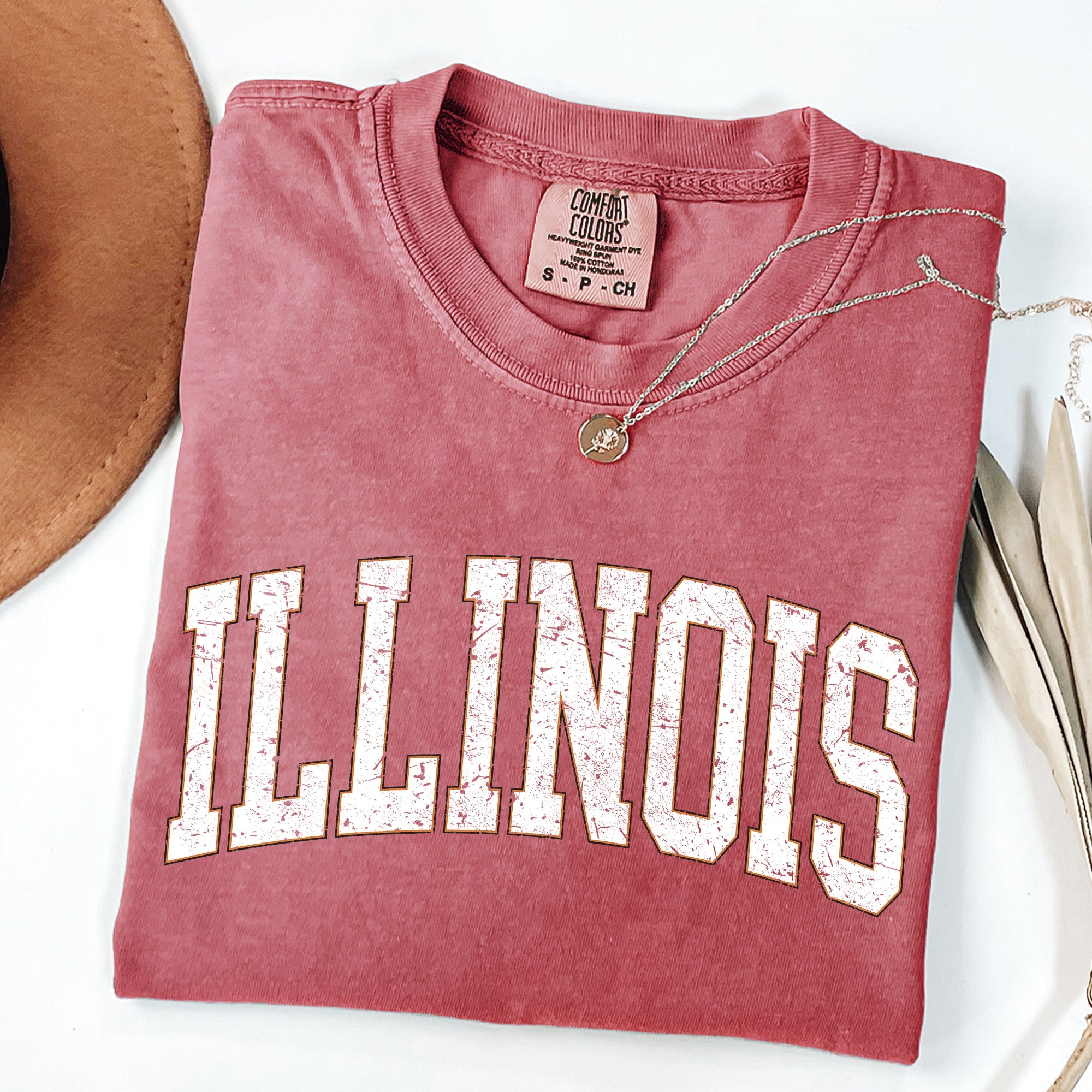 Illinois Football Tailgate Party Big Game State Pride University College Comfort Colors Tee