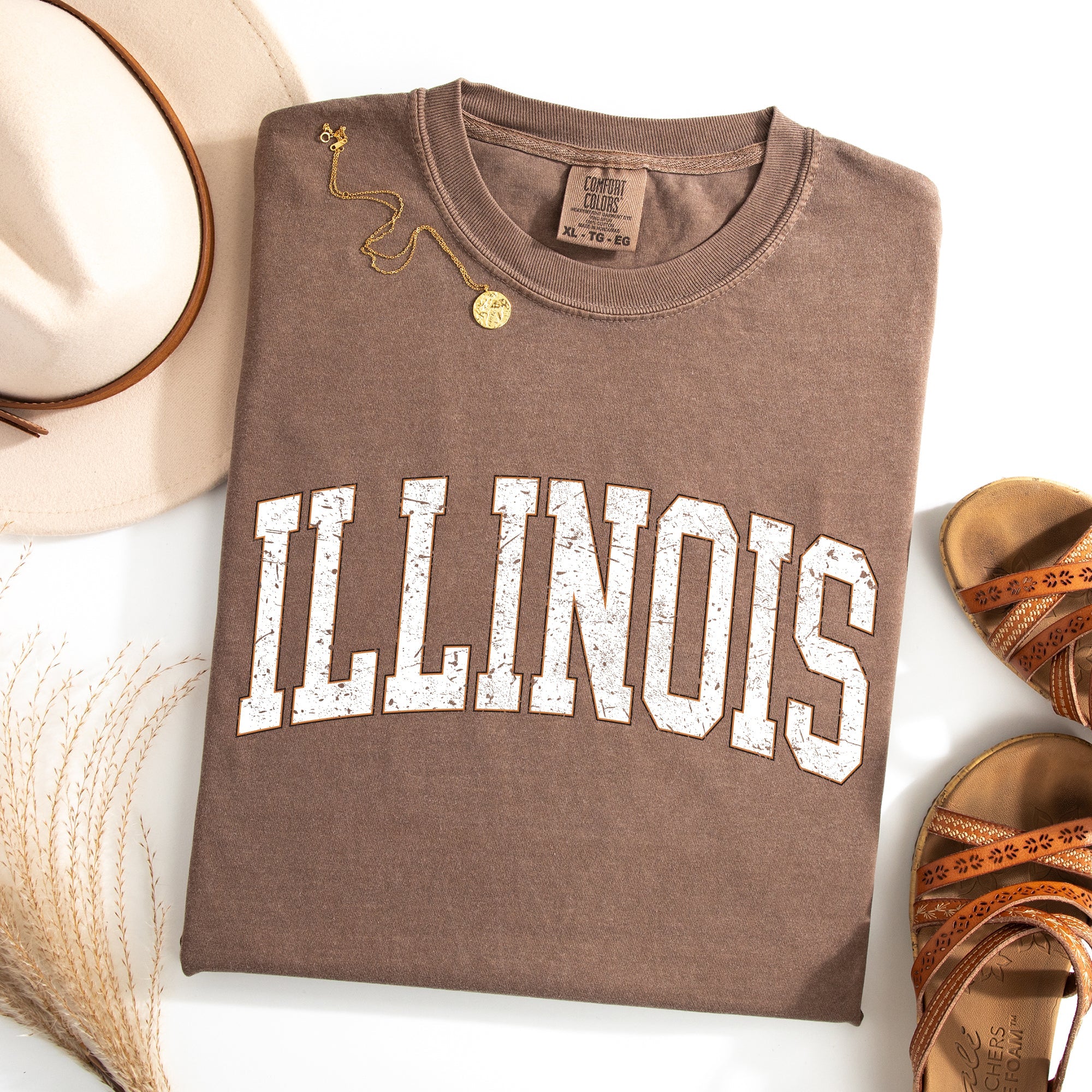 Illinois Football Tailgate Party Big Game State Pride University College Comfort Colors Tee