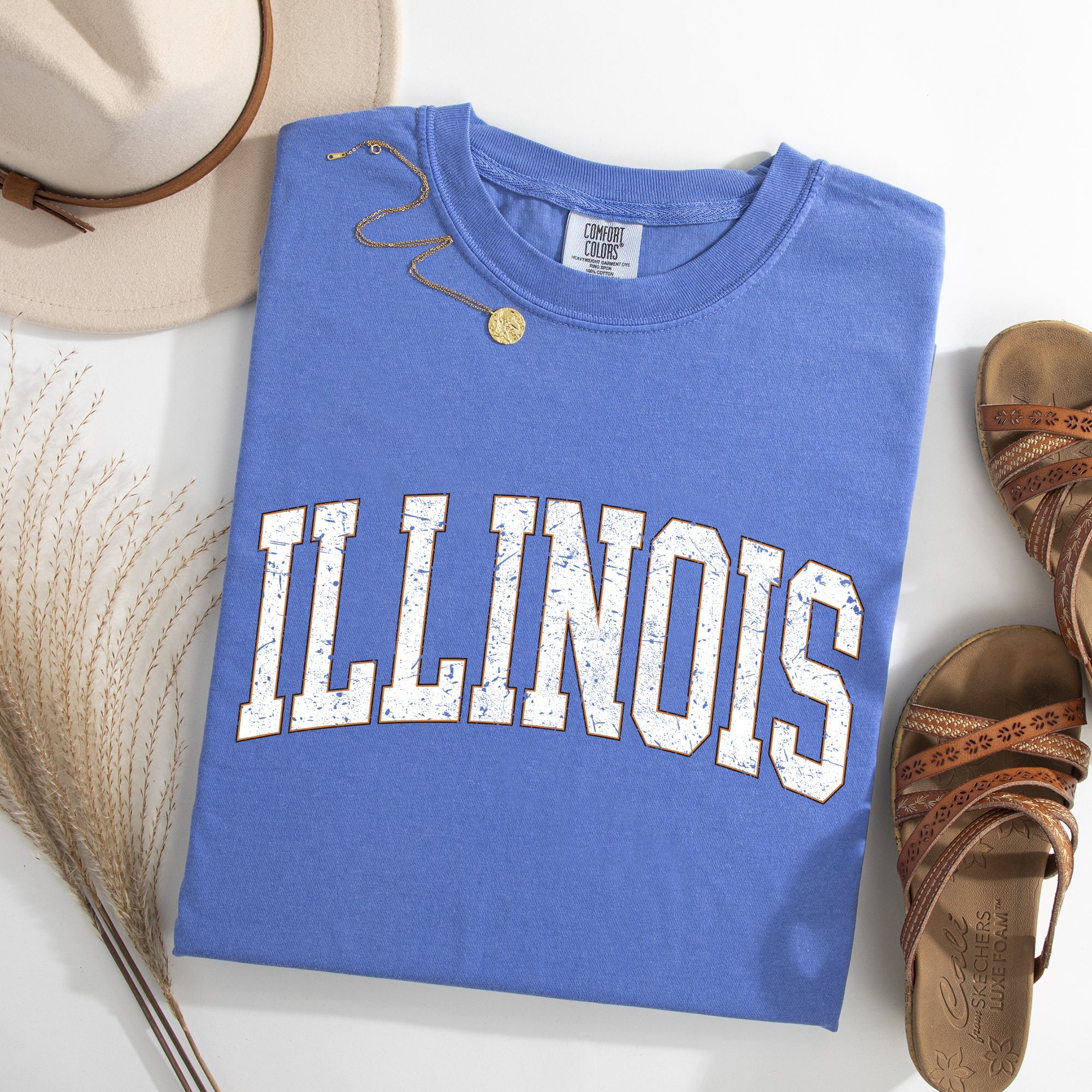 Illinois Football Tailgate Party Big Game State Pride University College Comfort Colors Tee
