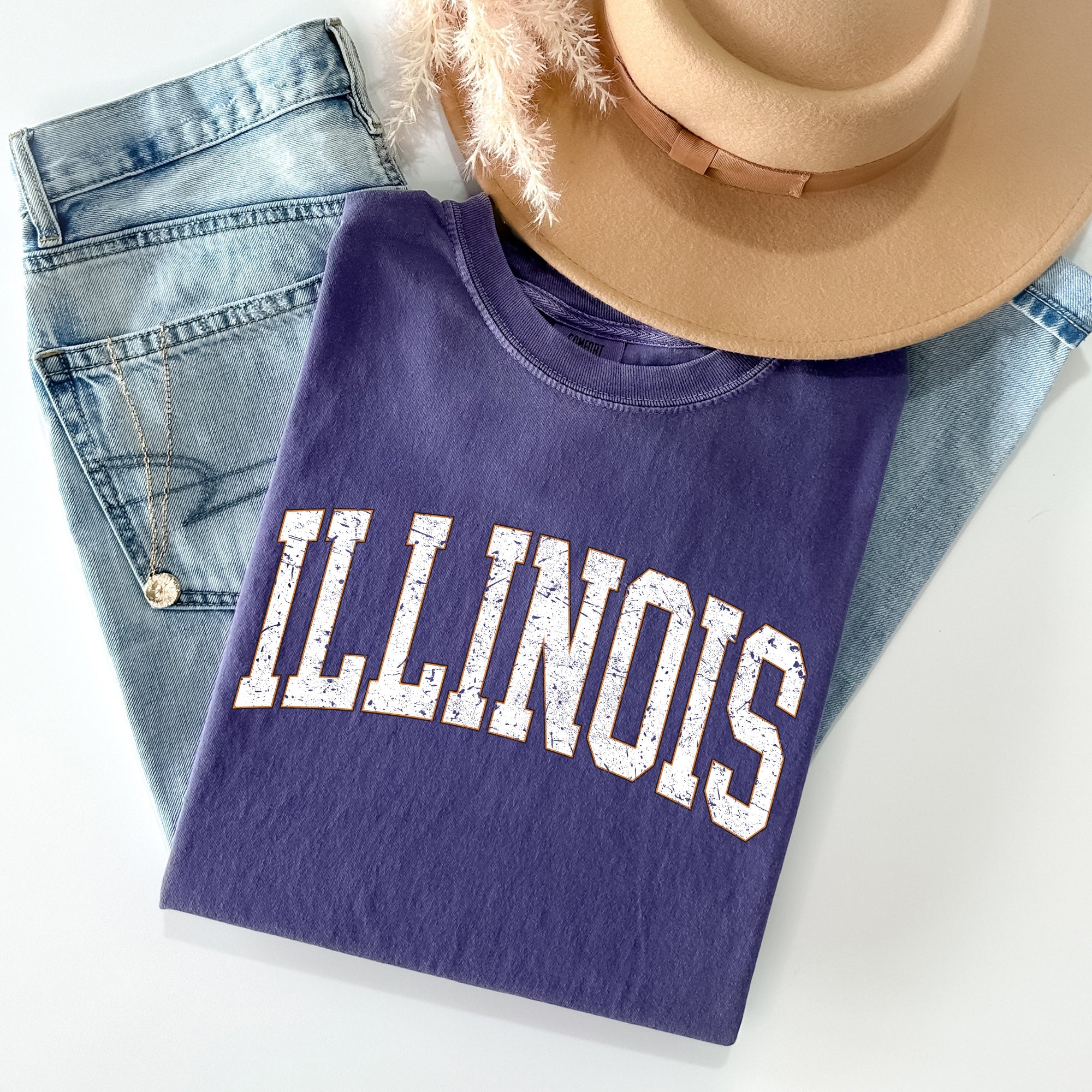Illinois Football Tailgate Party Big Game State Pride University College Comfort Colors Tee