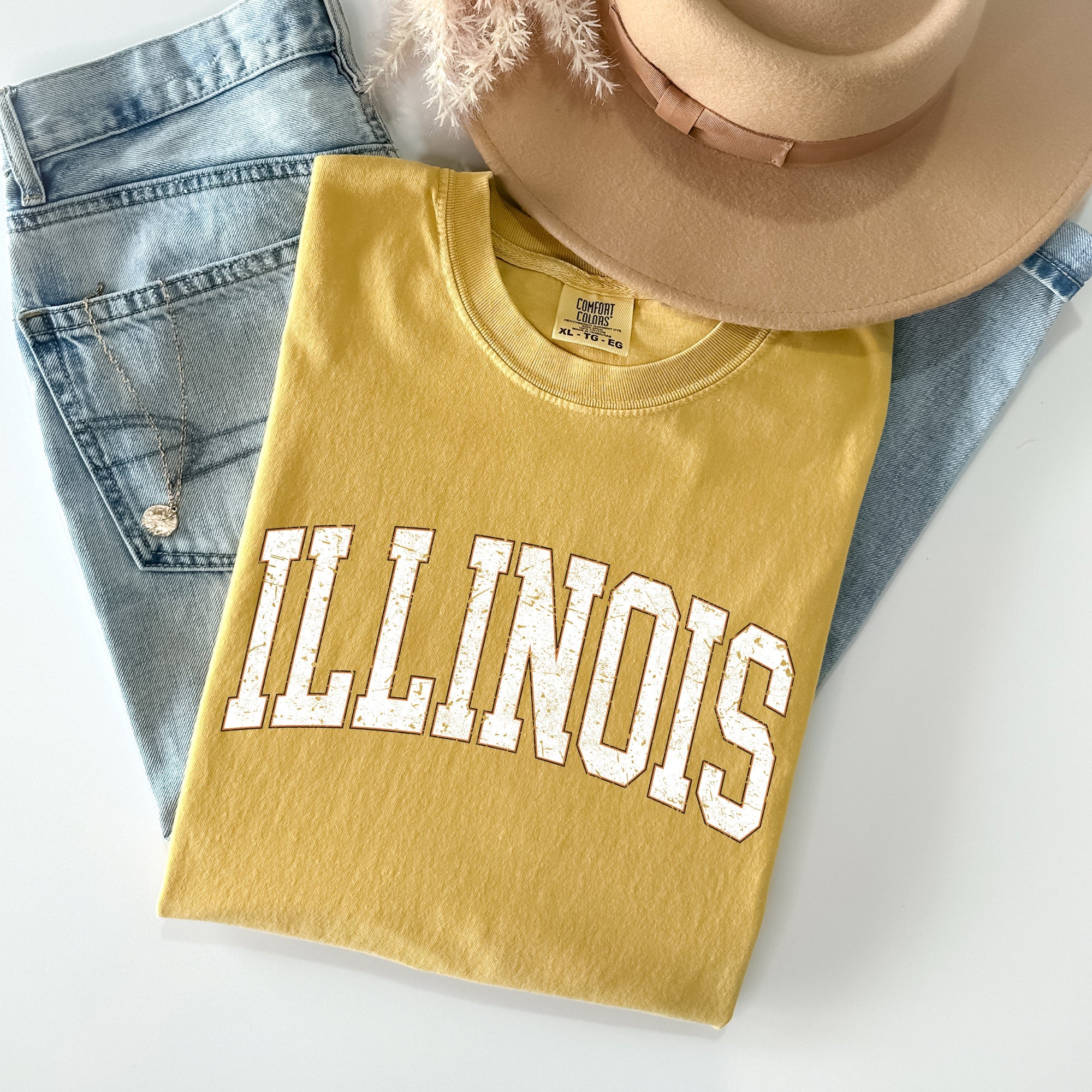 Illinois Football Tailgate Party Big Game State Pride University College Comfort Colors Tee