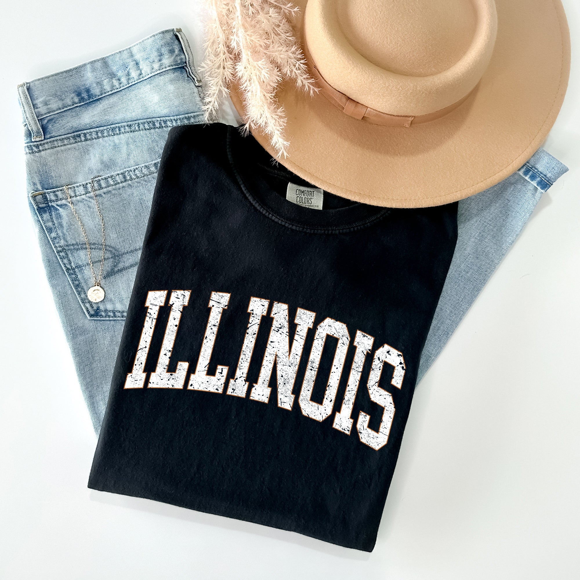 Illinois Football Tailgate Party Big Game State Pride University College Comfort Colors Tee