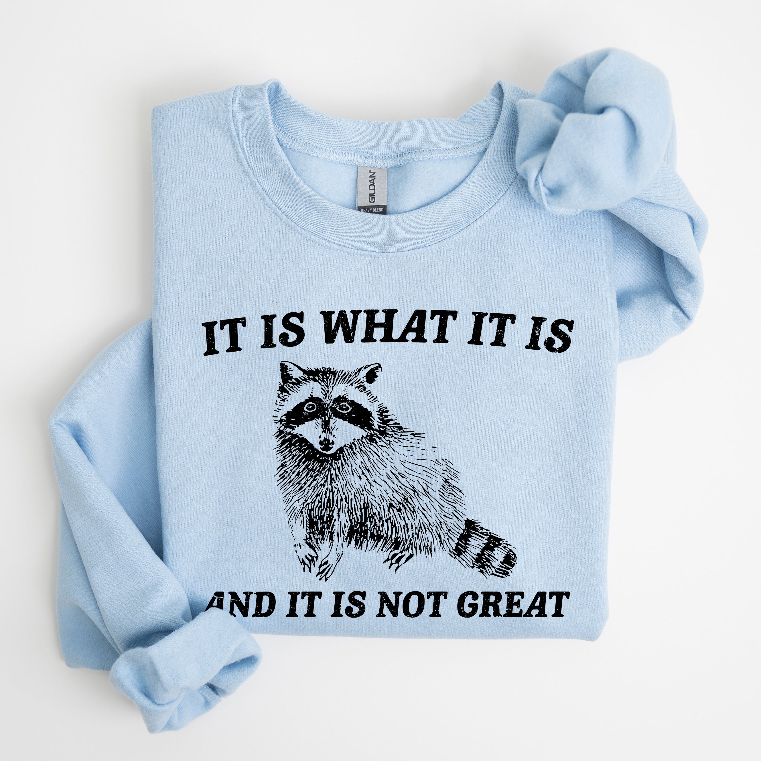 It Is What It Is And It Is Not Great Raccoon Trash Panda Meme Edition Sweatshirt