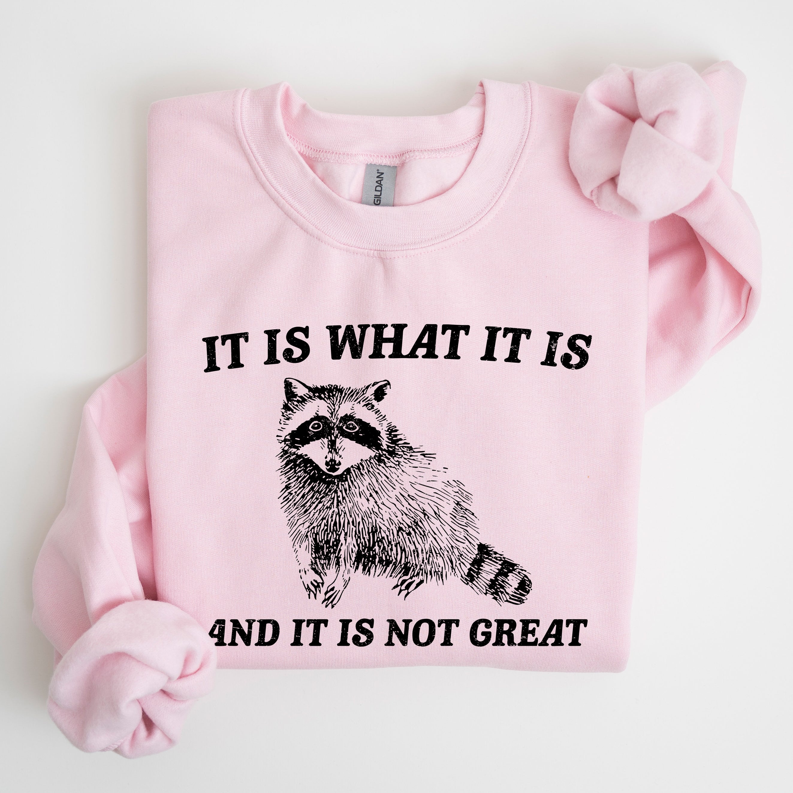 It Is What It Is And It Is Not Great Raccoon Trash Panda Meme Edition Sweatshirt