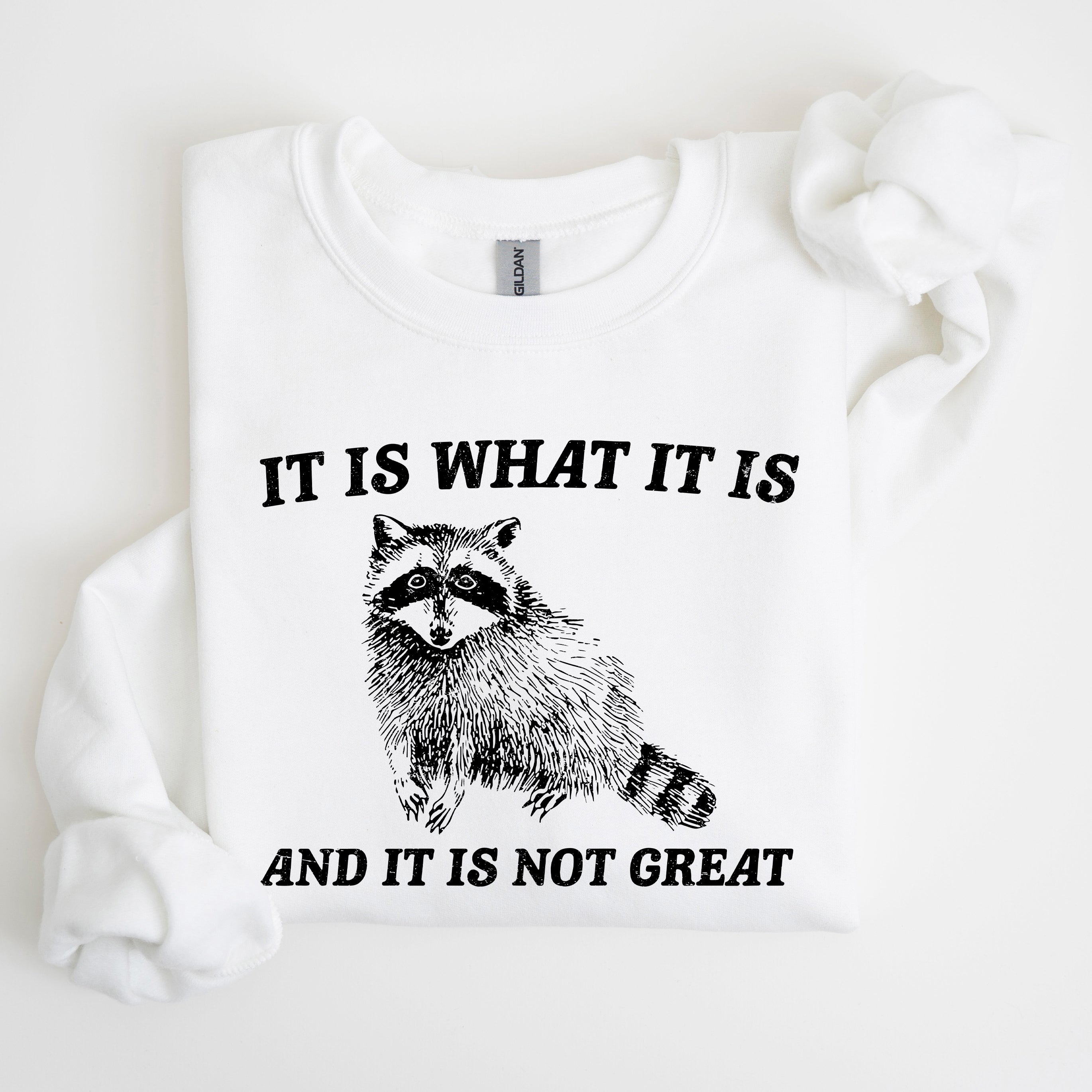 It Is What It Is And It Is Not Great Raccoon Trash Panda Meme Edition Sweatshirt