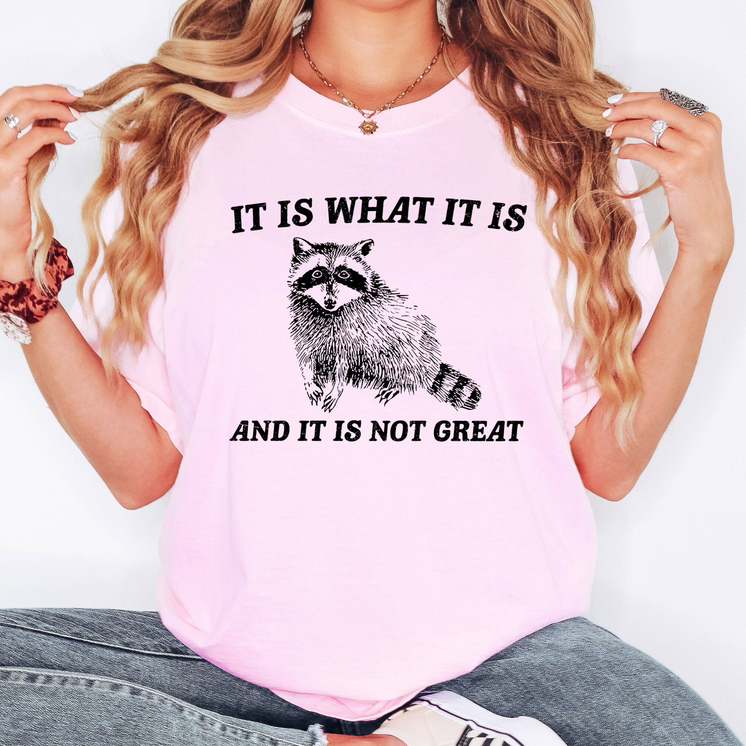 It Is What It Is And It Is Not Great Raccoon Meme Vintage Style Graphic Artwork Retro Design Comfort Colors Tee