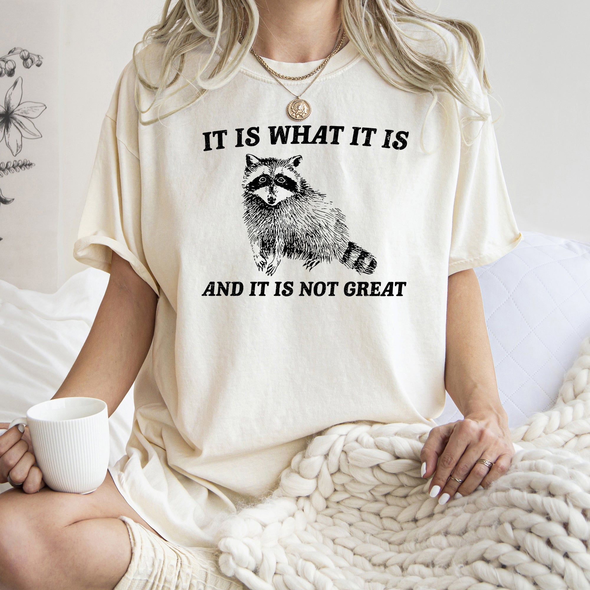 It Is What It Is And It Is Not Great Raccoon Meme Vintage Style Graphic Artwork Retro Design Comfort Colors Tee