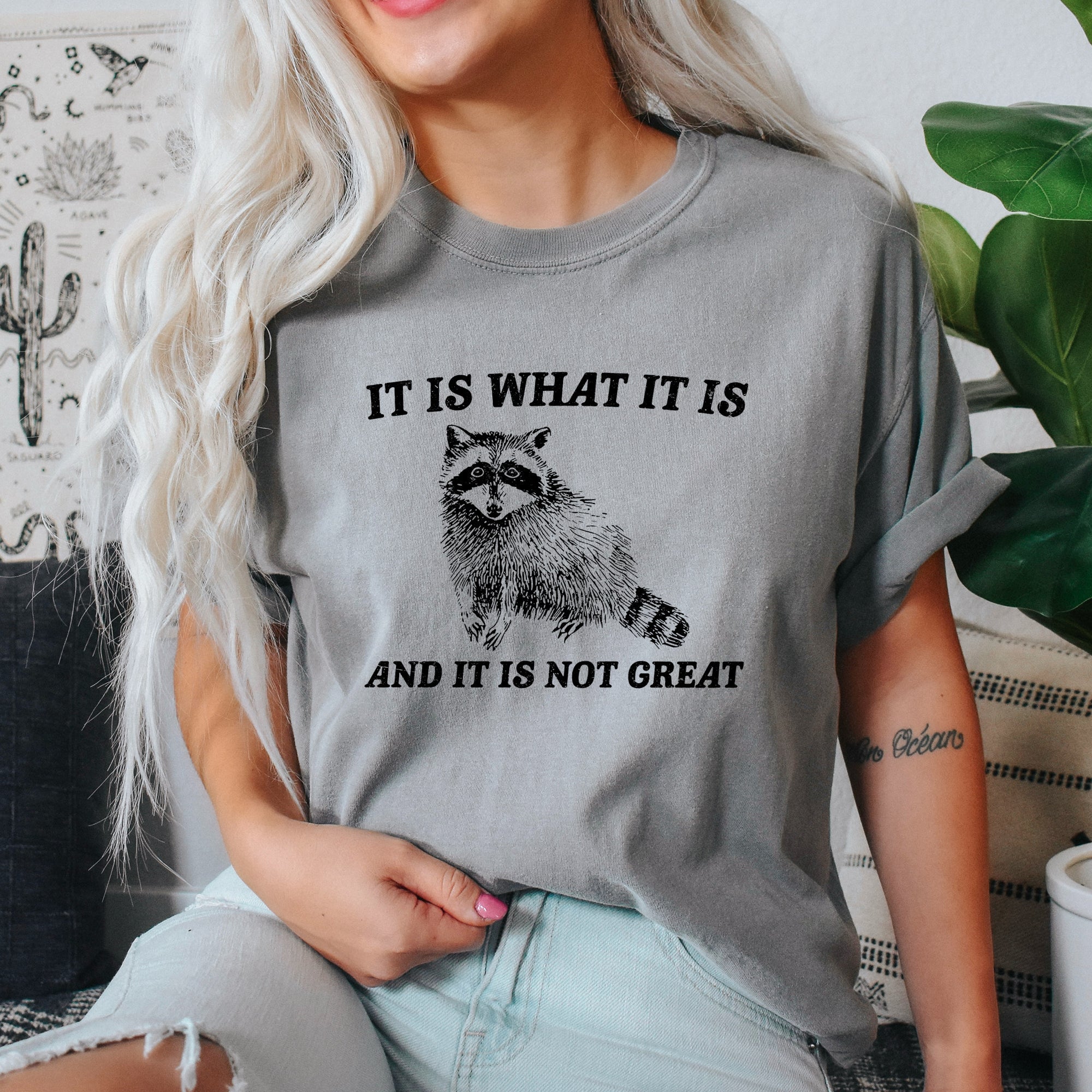 It Is What It Is And It Is Not Great Raccoon Meme Vintage Style Graphic Artwork Retro Design Comfort Colors Tee