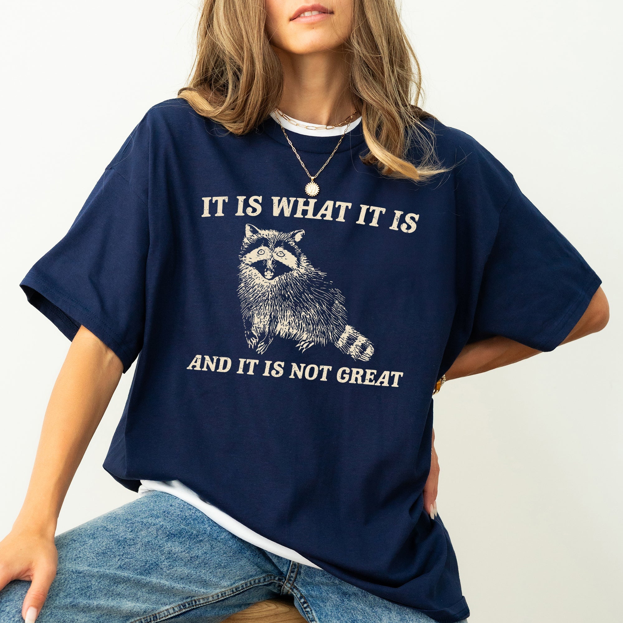 It Is What It Is And It Is Not Great Raccoon Meme Vintage Style Graphic Artwork Retro Design Comfort Colors Tee
