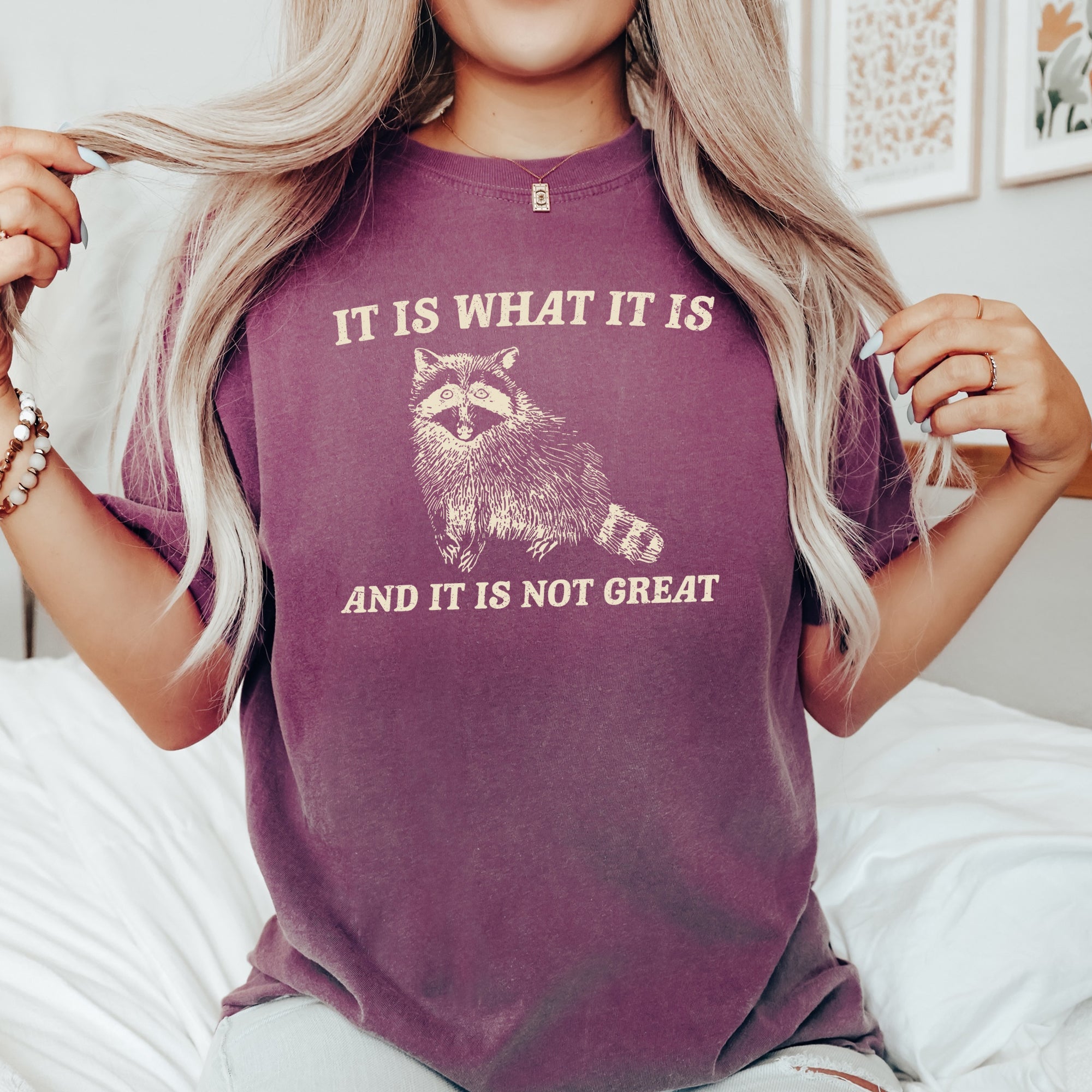It Is What It Is And It Is Not Great Raccoon Meme Vintage Style Graphic Artwork Retro Design Comfort Colors Tee