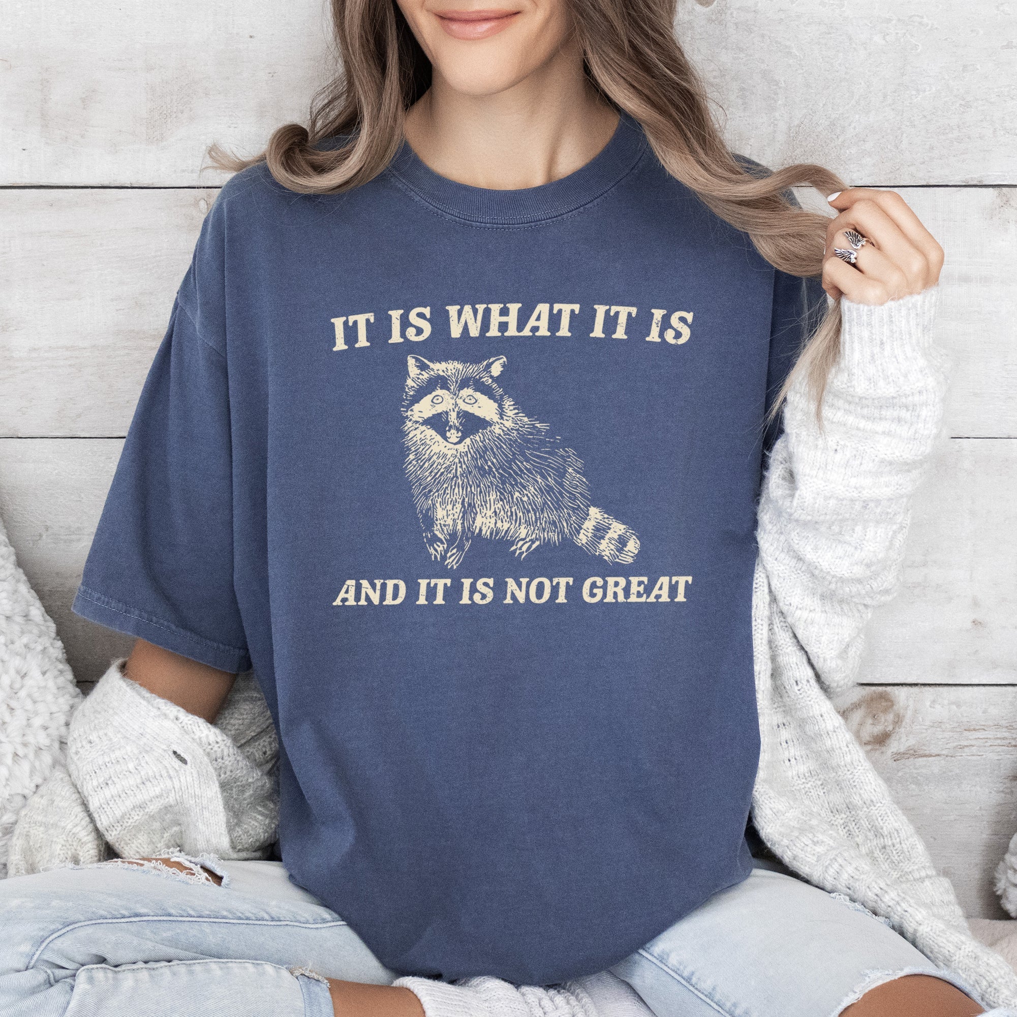 It Is What It Is And It Is Not Great Raccoon Meme Vintage Style Graphic Artwork Retro Design Comfort Colors Tee