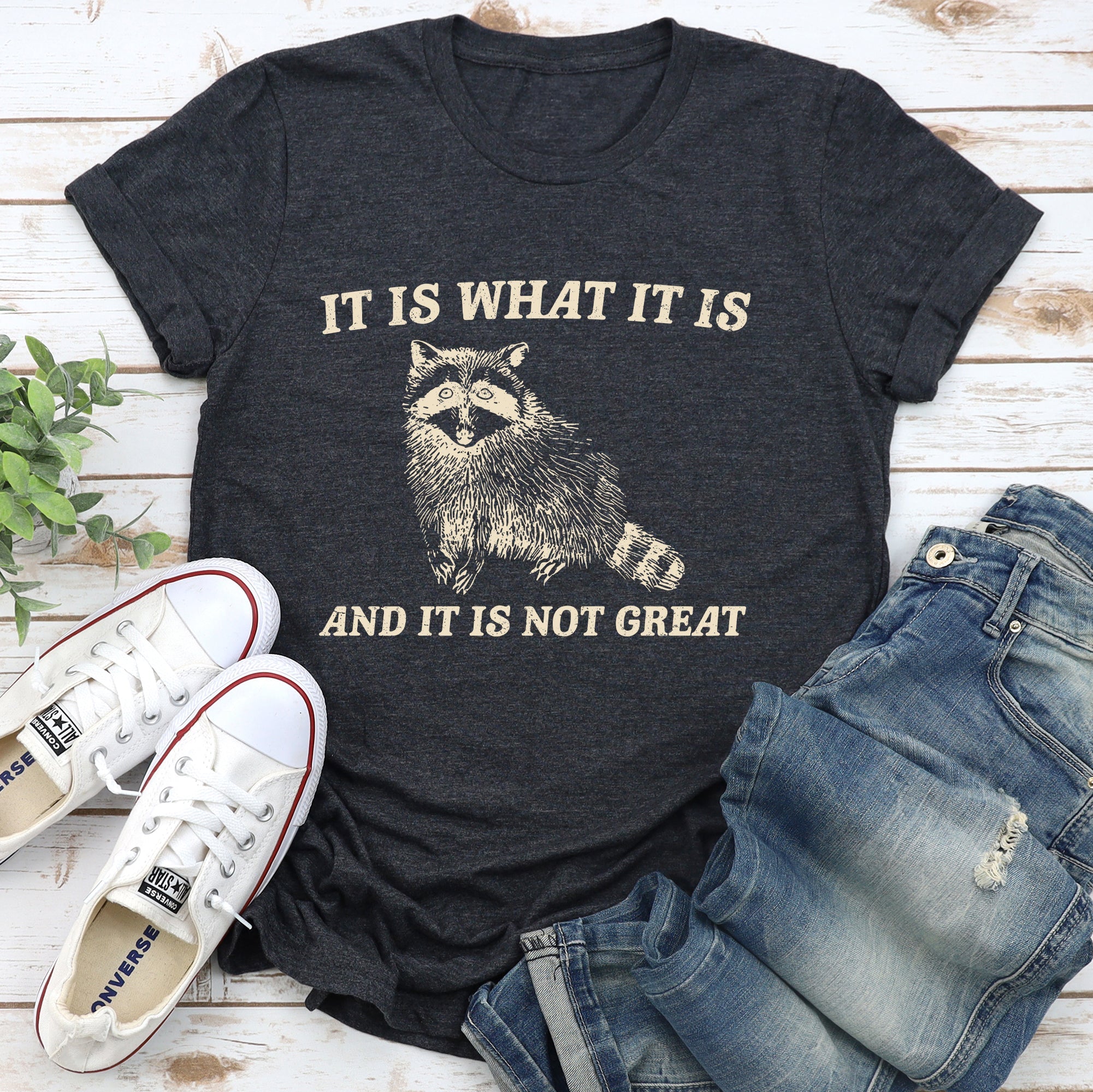 It Is What It Is And It's Not Great Raccoon Meme Edition Deluxe Collection Limited Edition Comfort Colors Tee