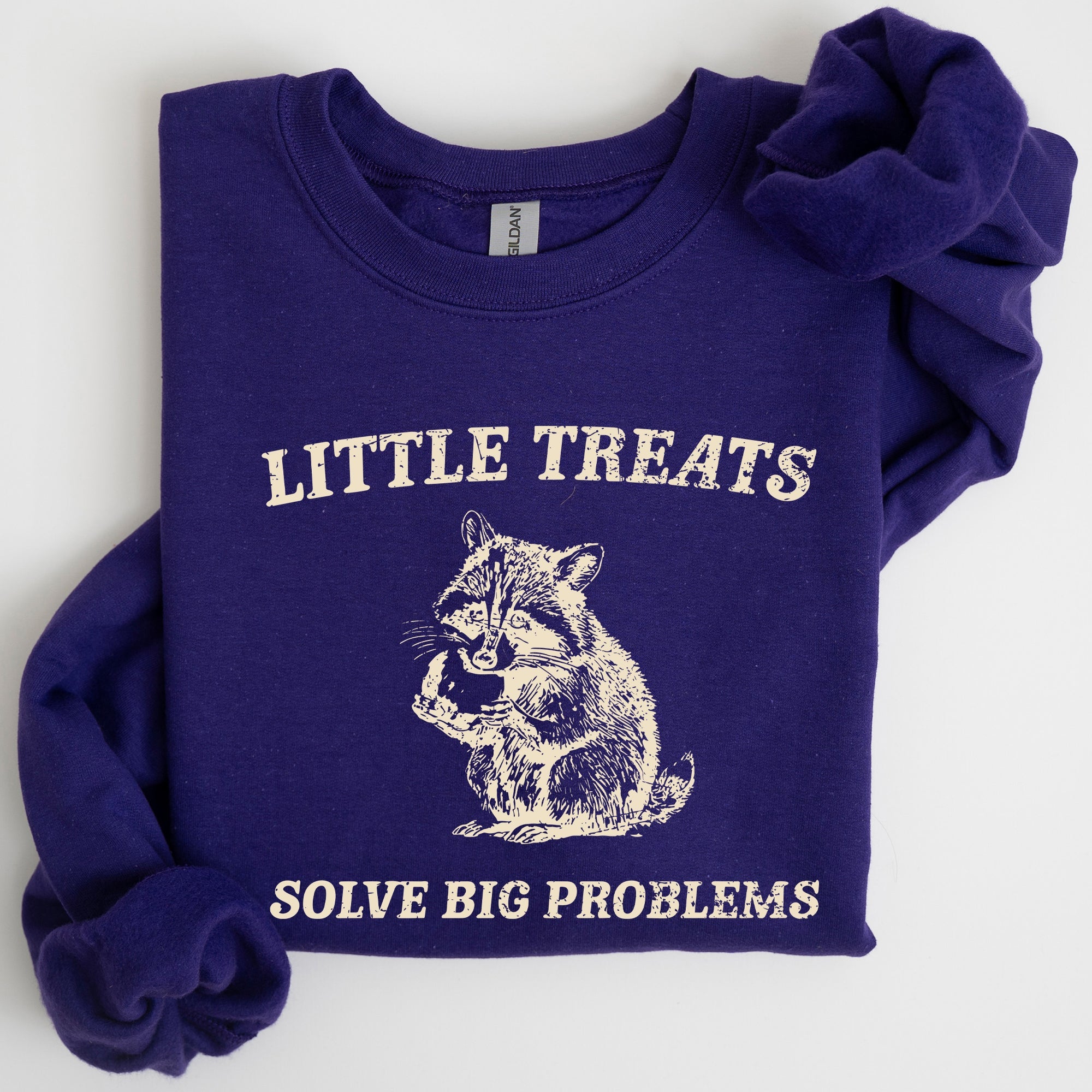 Little Treats Solve Big Problems Raccoon Meme Aesthetic Funny Edition Sweatshirt