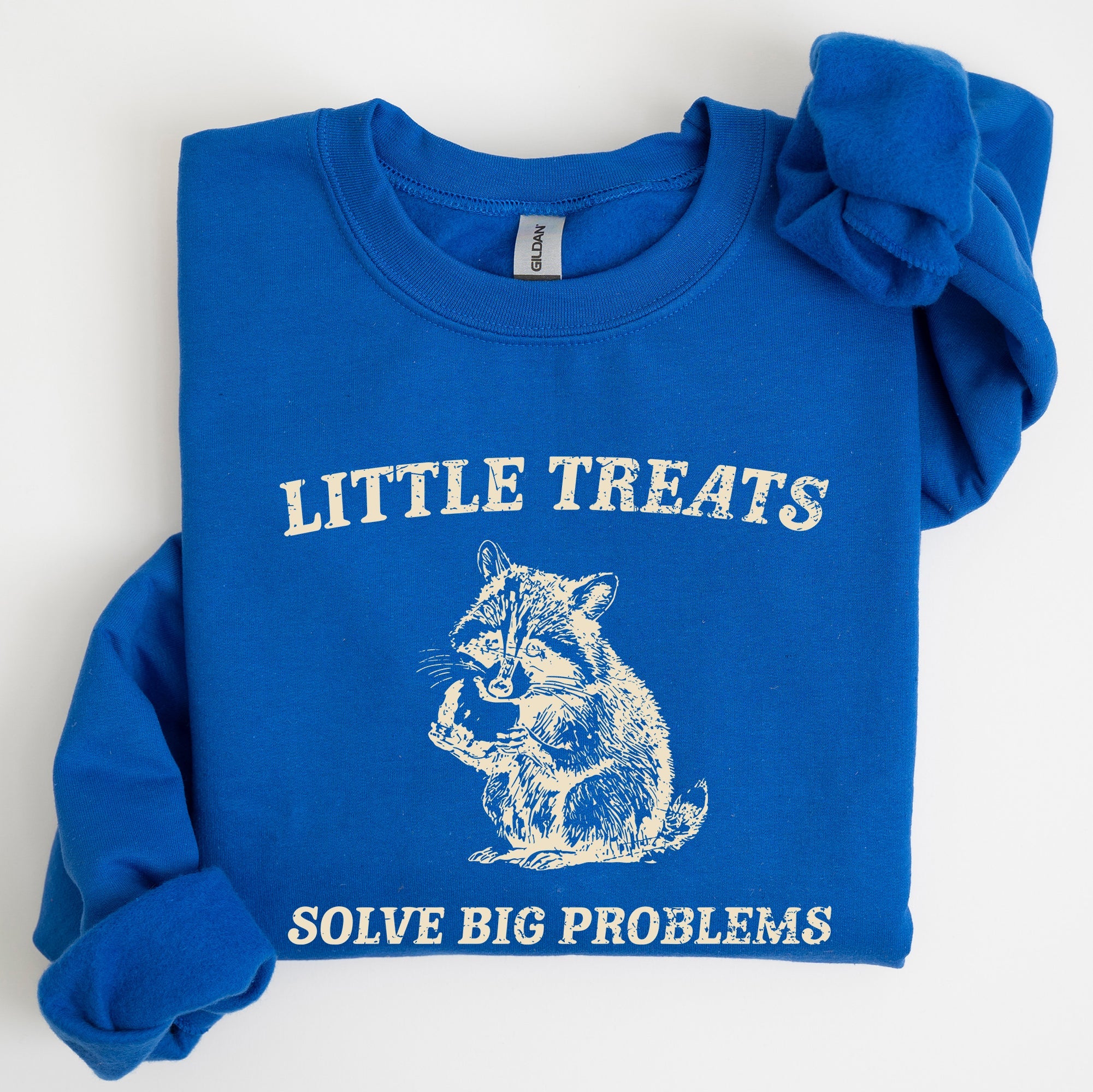 Little Treats Solve Big Problems Raccoon Meme Aesthetic Funny Edition Sweatshirt