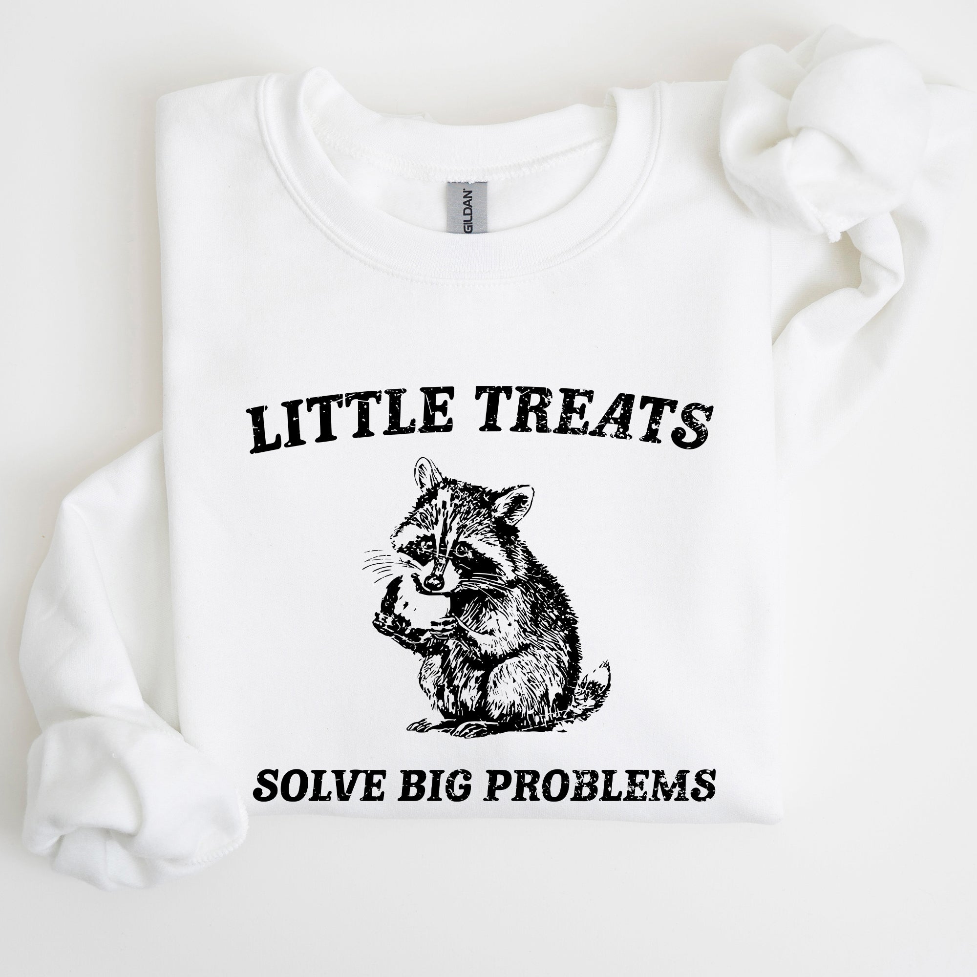 Little Treats Solve Big Problems Raccoon Meme Aesthetic Funny Edition Sweatshirt