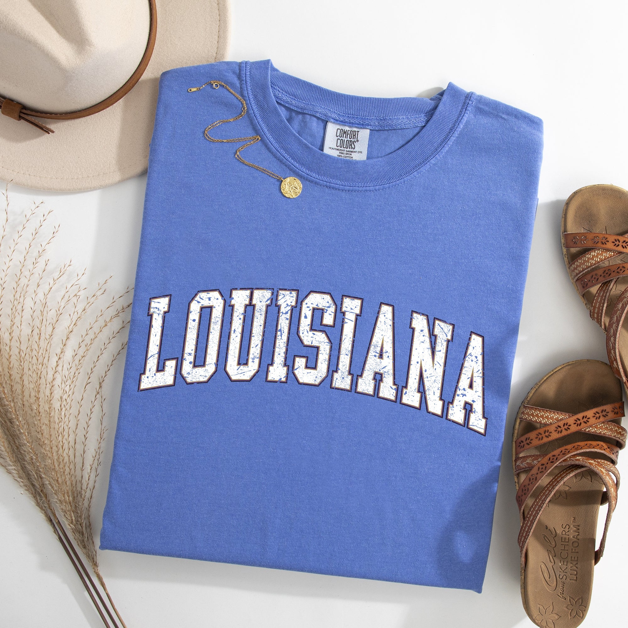 Louisiana Football Game Day Tailgate Party State University College Pride Comfort Colors Tee