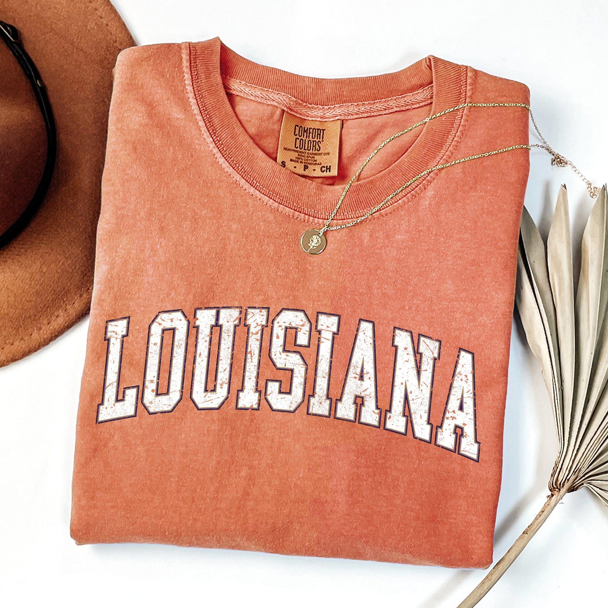 Louisiana Football Game Day Tailgate Party State University College Pride Comfort Colors Tee