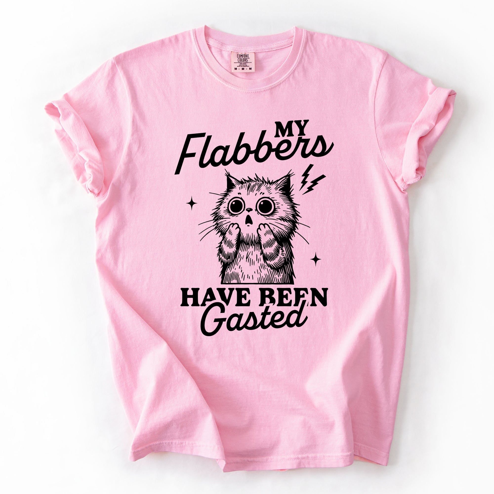 My Flabbers Have Been Gasted, Flabbergasted Cat Sass And Sarcasm Comfort Colors Tee