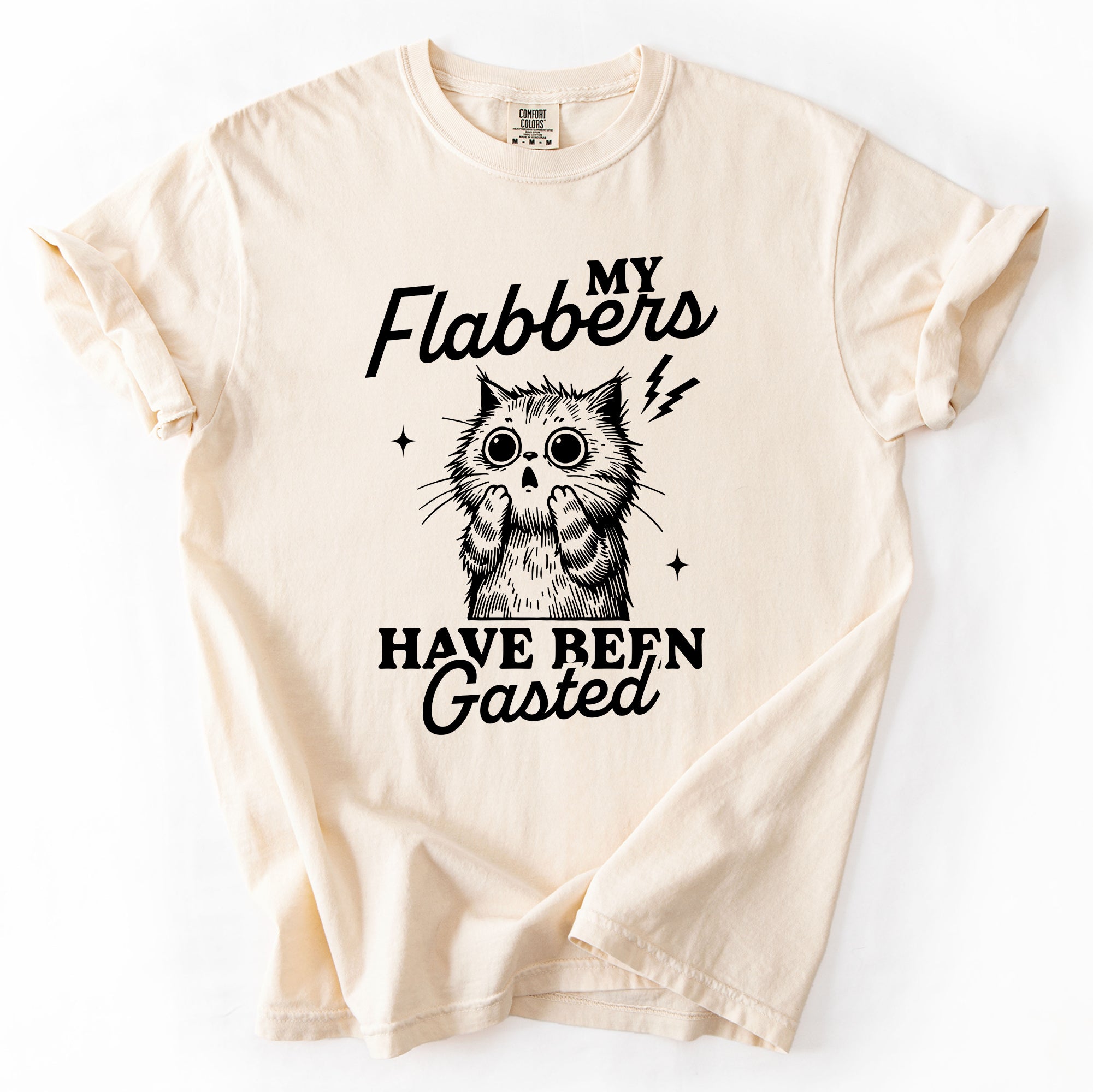 My Flabbers Have Been Gasted, Flabbergasted Cat Sass And Sarcasm Comfort Colors Tee
