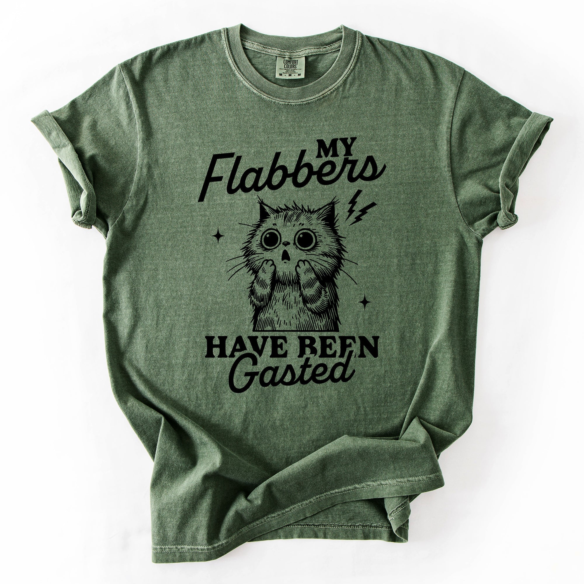 My Flabbers Have Been Gasted, Flabbergasted Cat Sass And Sarcasm Comfort Colors Tee